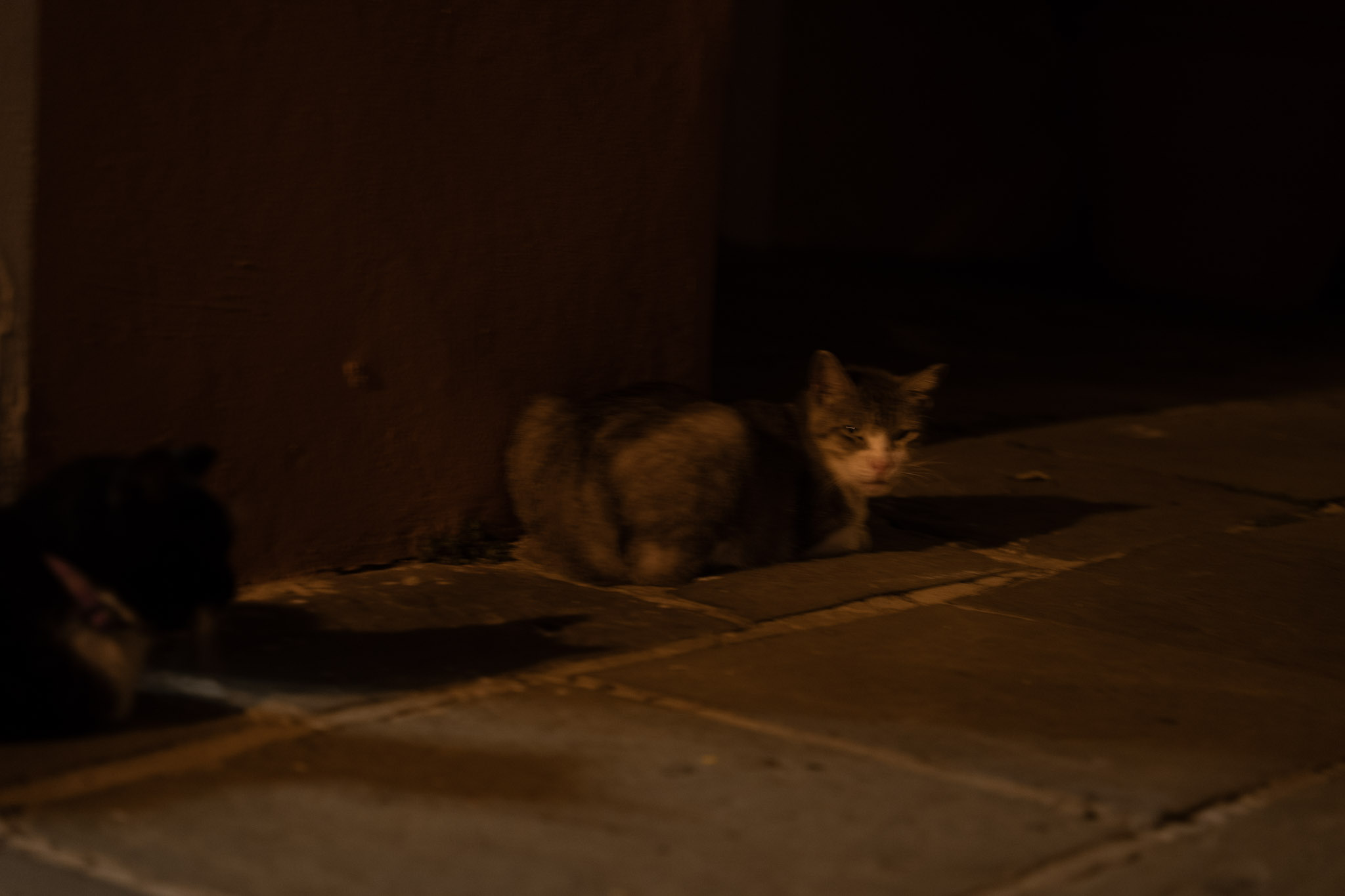 San Juan - foto 139