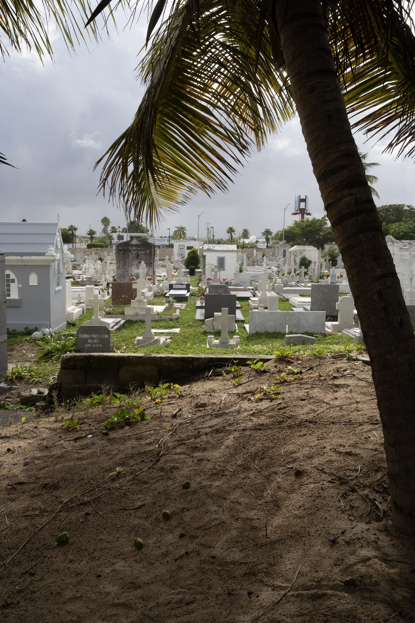 2021-12-20_Punta_las_Marias - foto 4