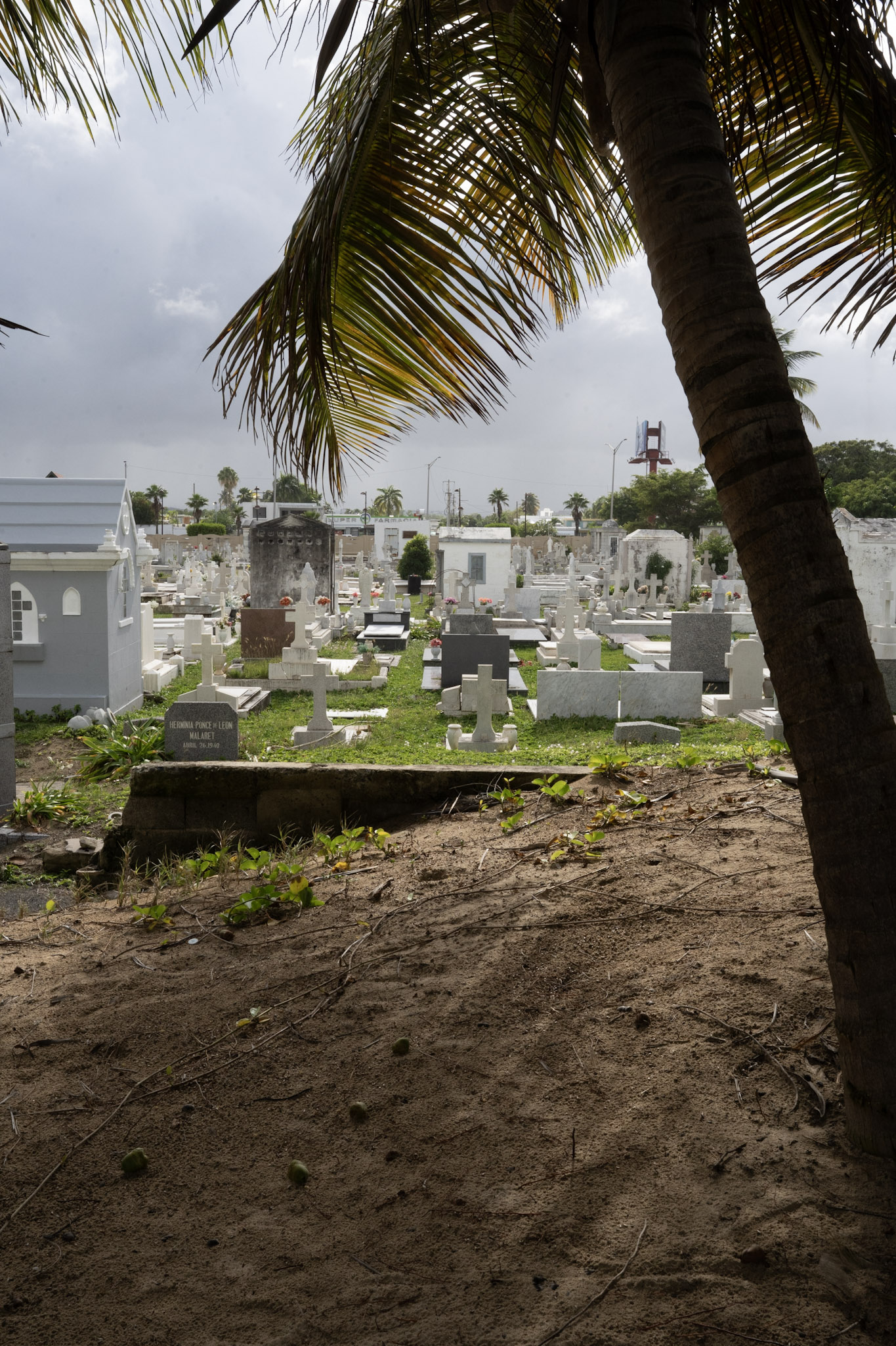 2021-12-20_Punta_las_Marias - foto 5