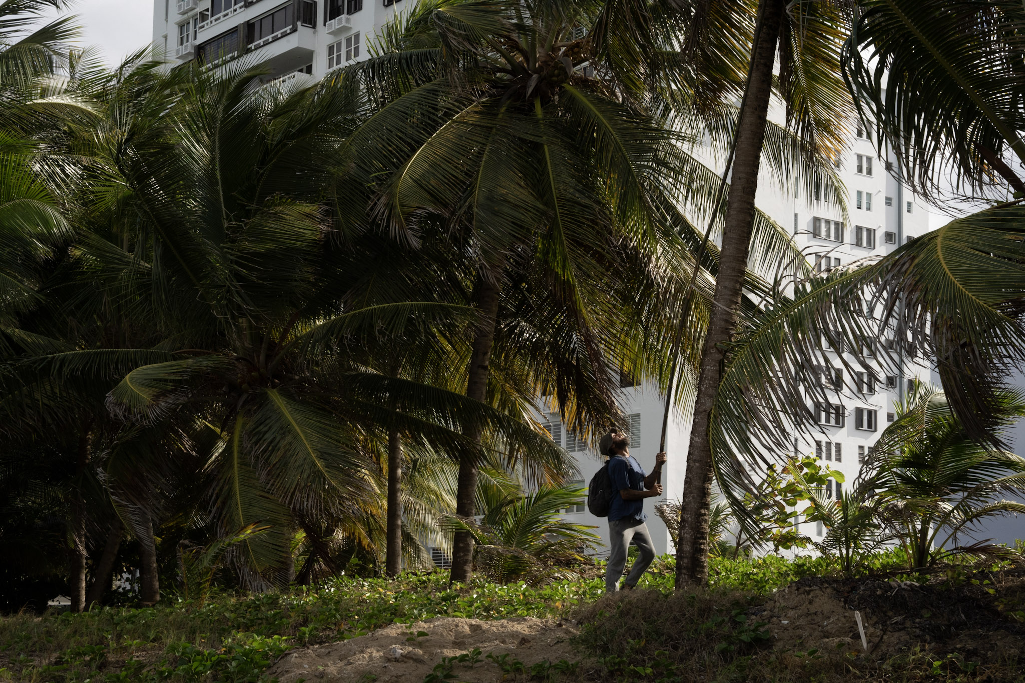 2021-12-20_Punta_las_Marias - foto 12