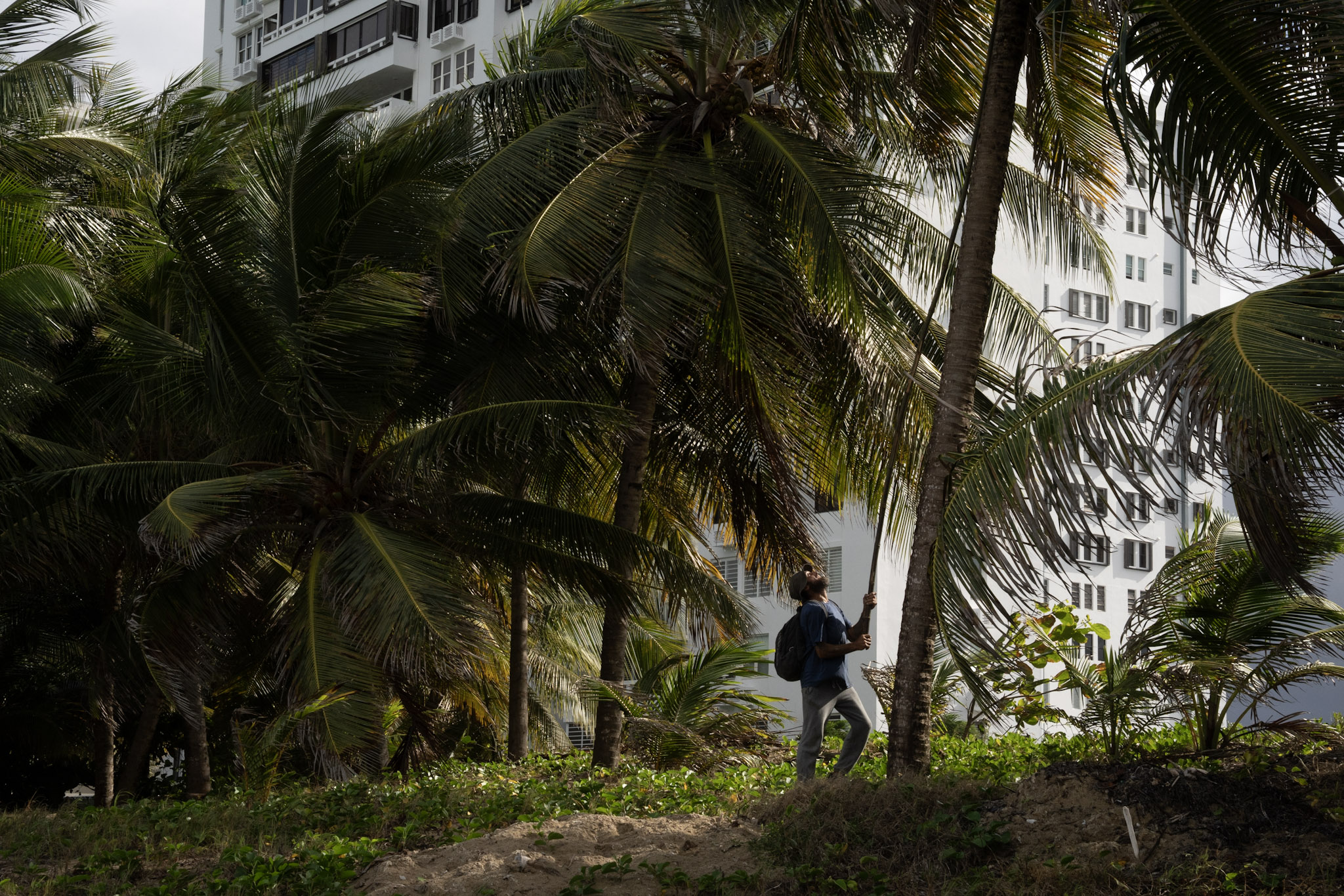 2021-12-20_Punta_las_Marias - foto 13