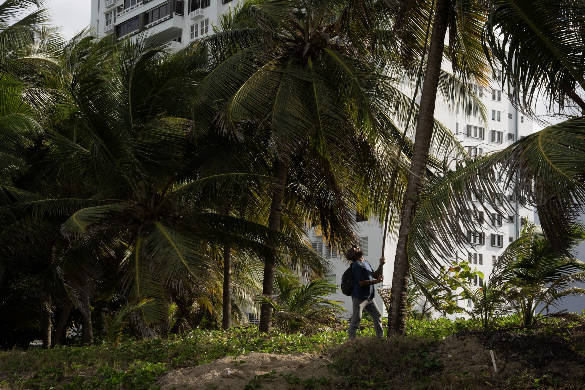 2021-12-20_Punta_las_Marias - foto 14