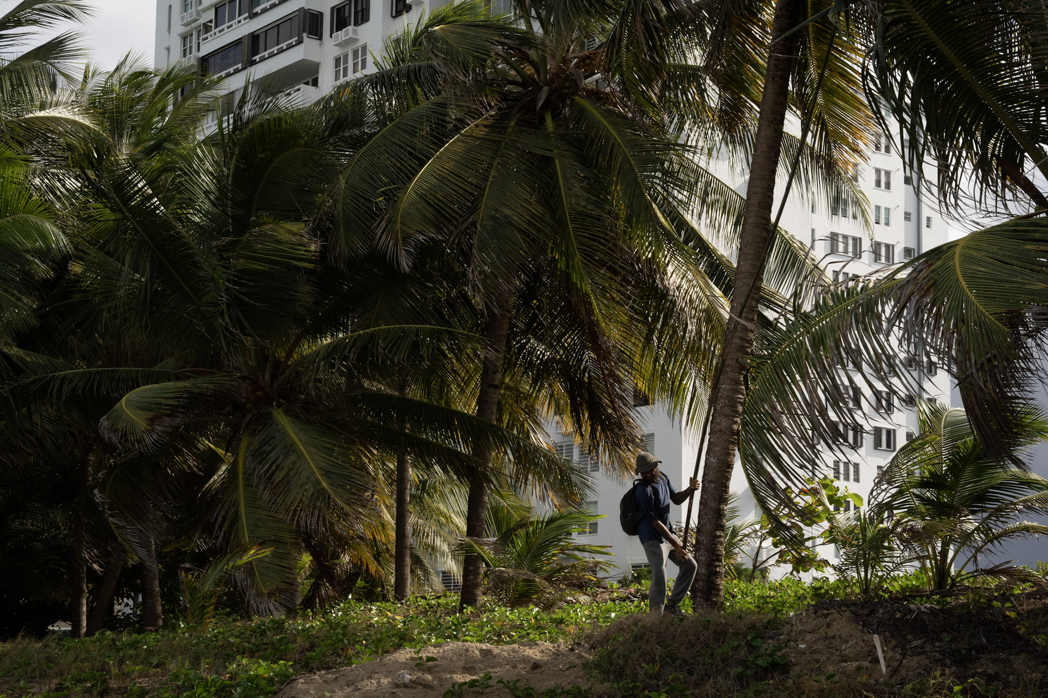 2021-12-20_Punta_las_Marias - foto 15