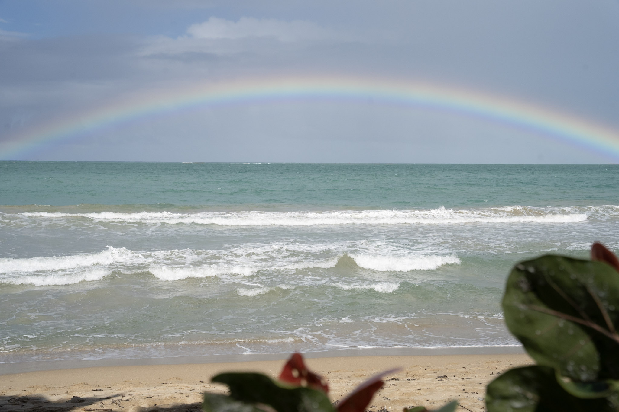 2021-12-20_Punta_las_Marias - foto 36