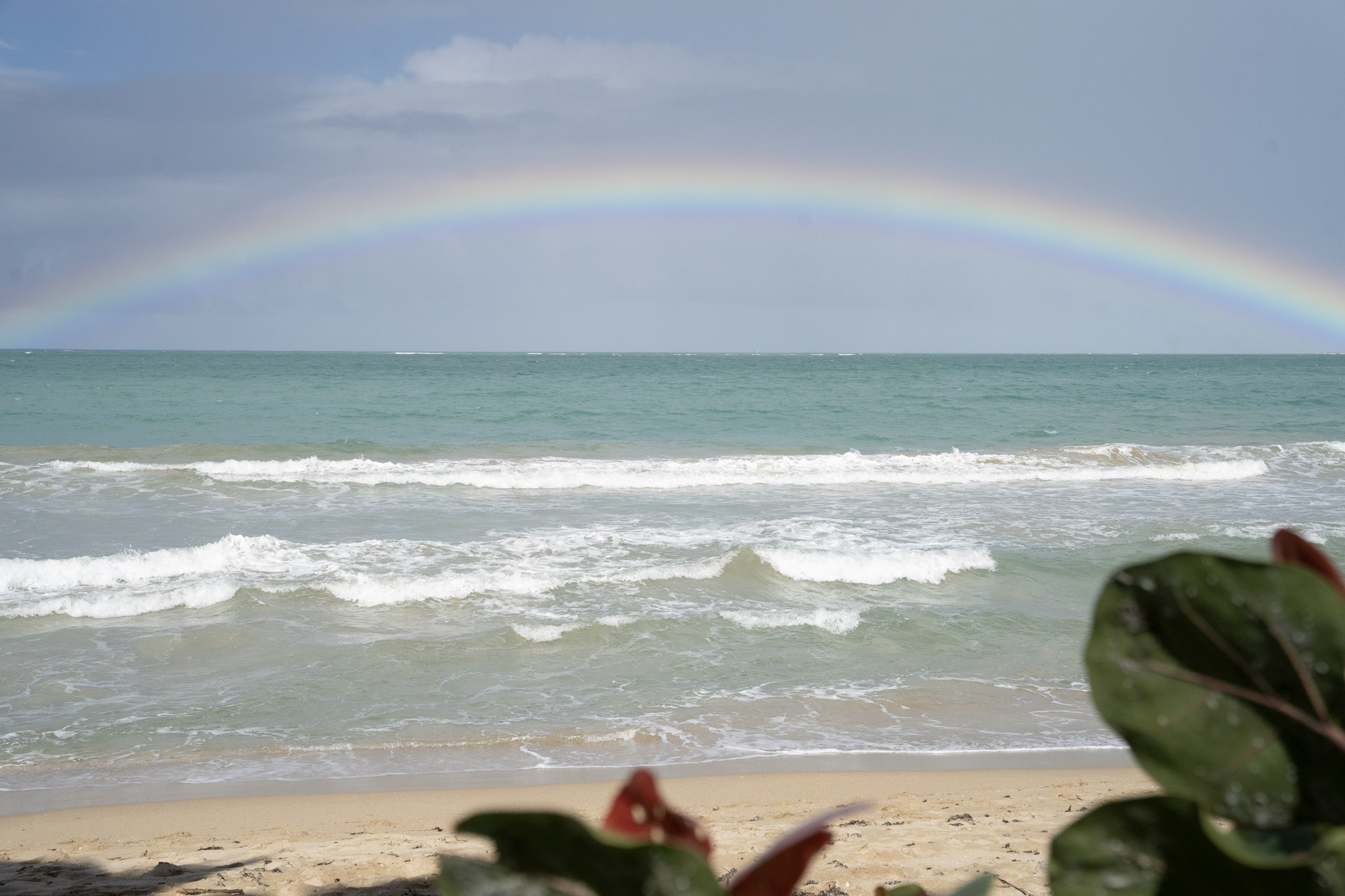 2021-12-20_Punta_las_Marias - foto 37