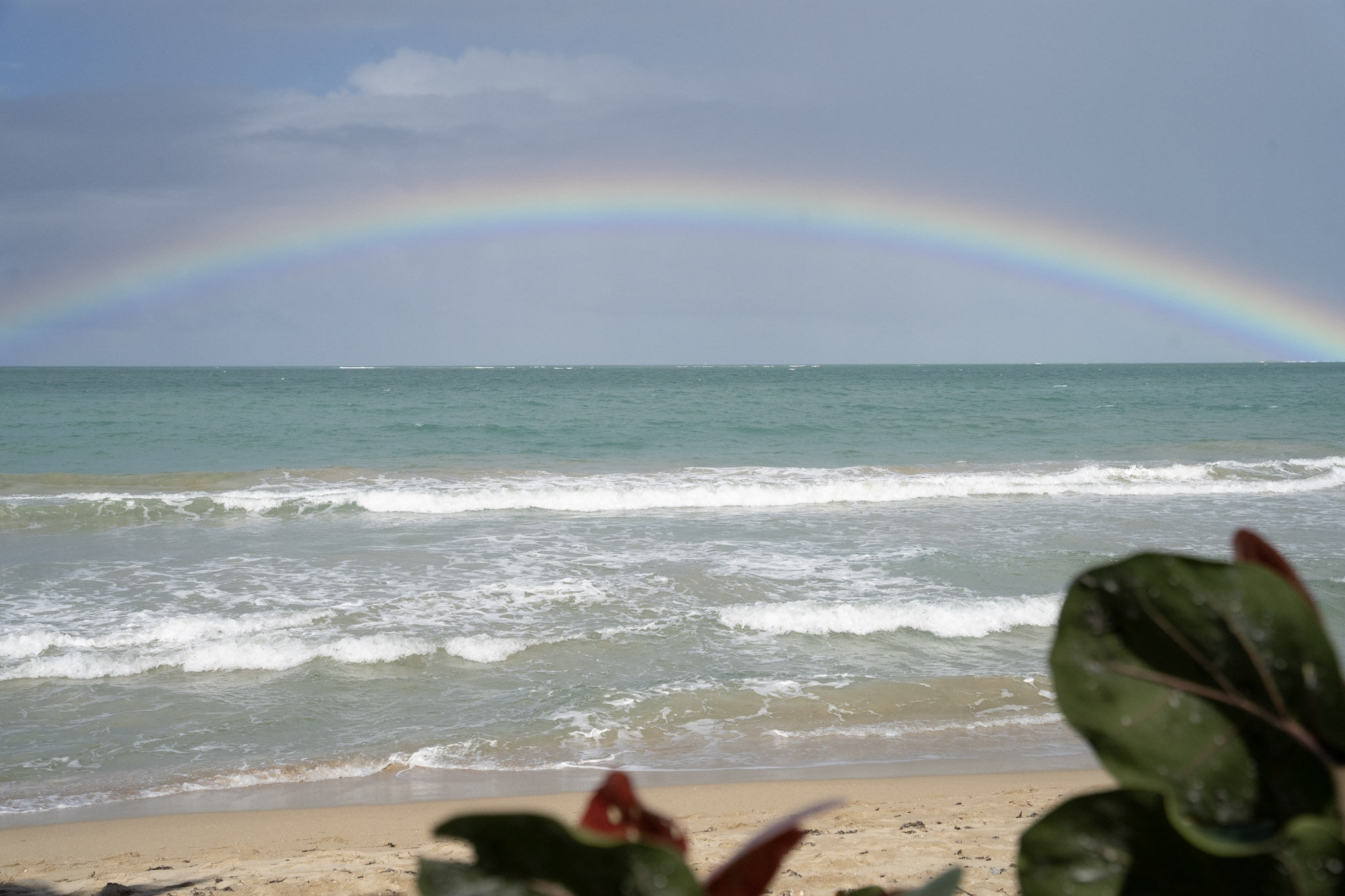 2021-12-20_Punta_las_Marias - foto 38