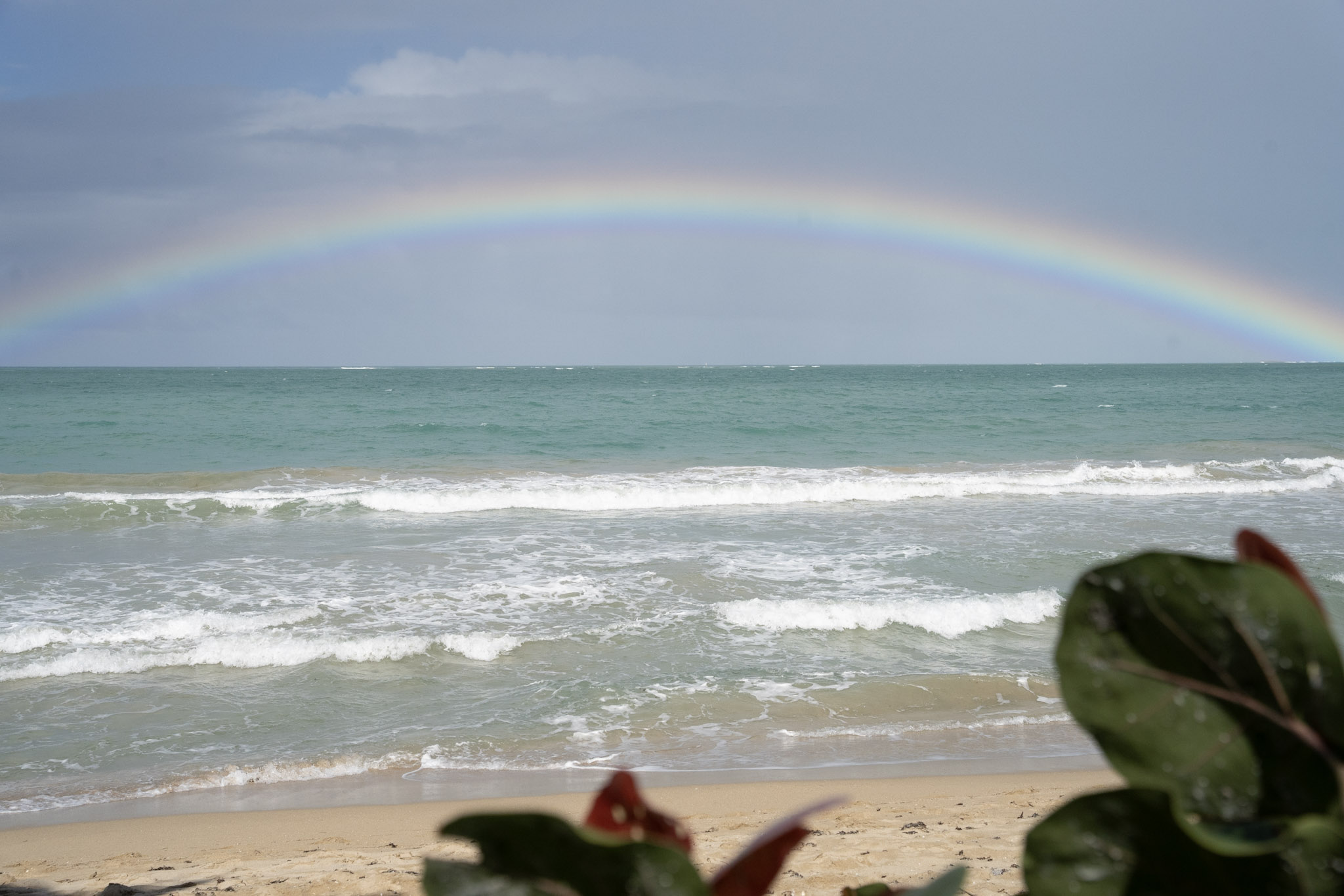 2021-12-20_Punta_las_Marias - foto 39