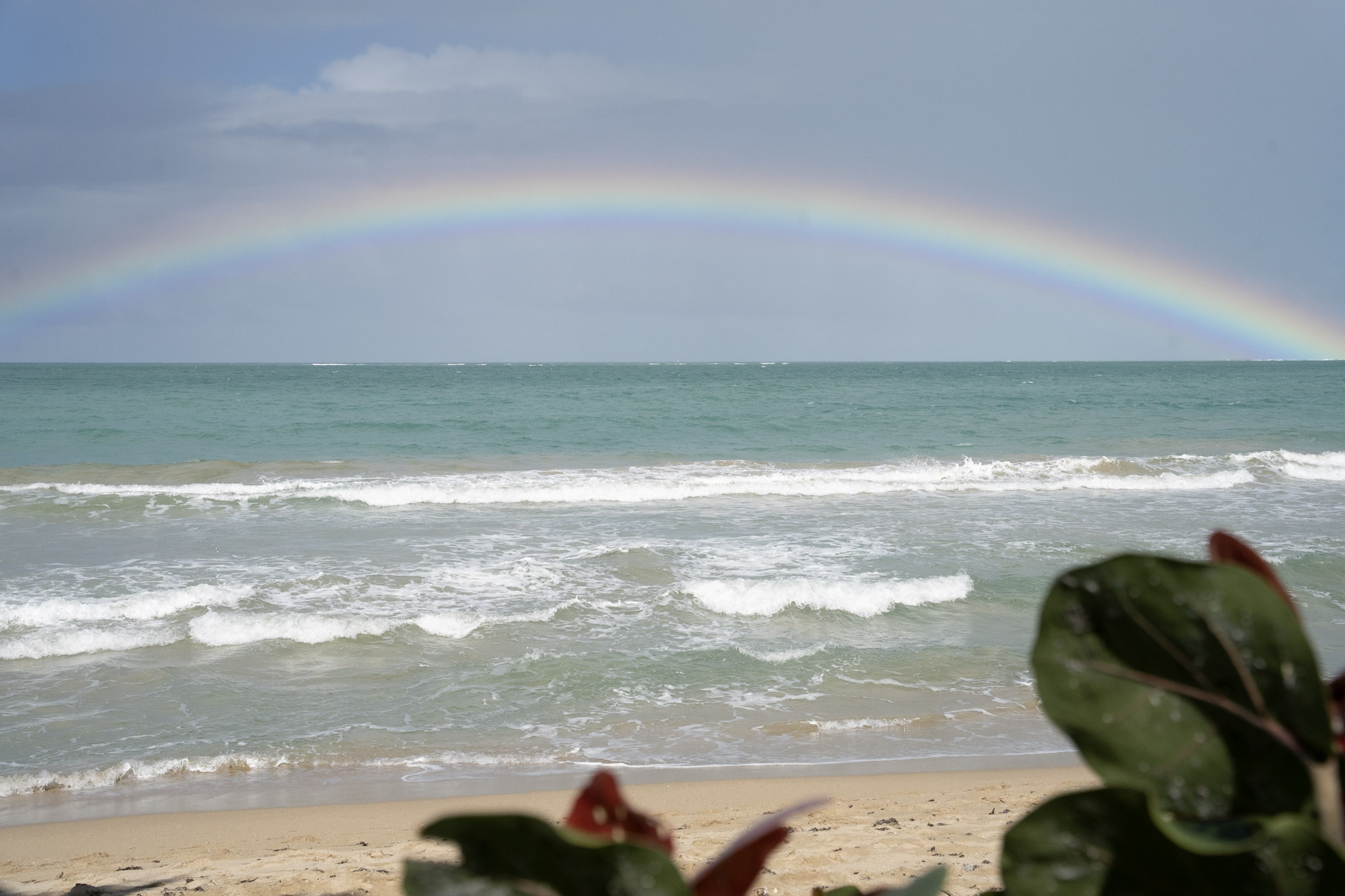 2021-12-20_Punta_las_Marias - foto 40