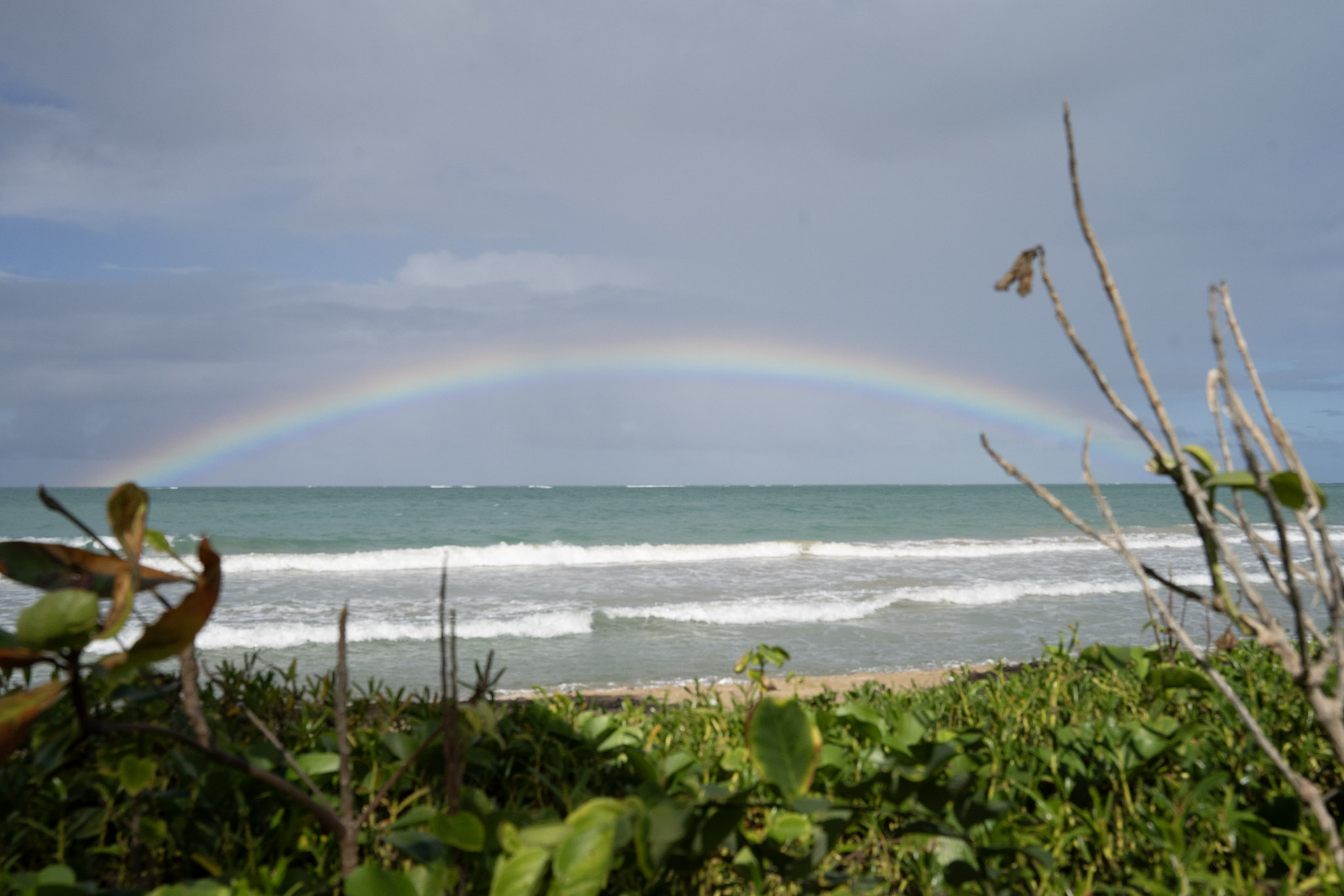 2021-12-20_Punta_las_Marias - foto 49