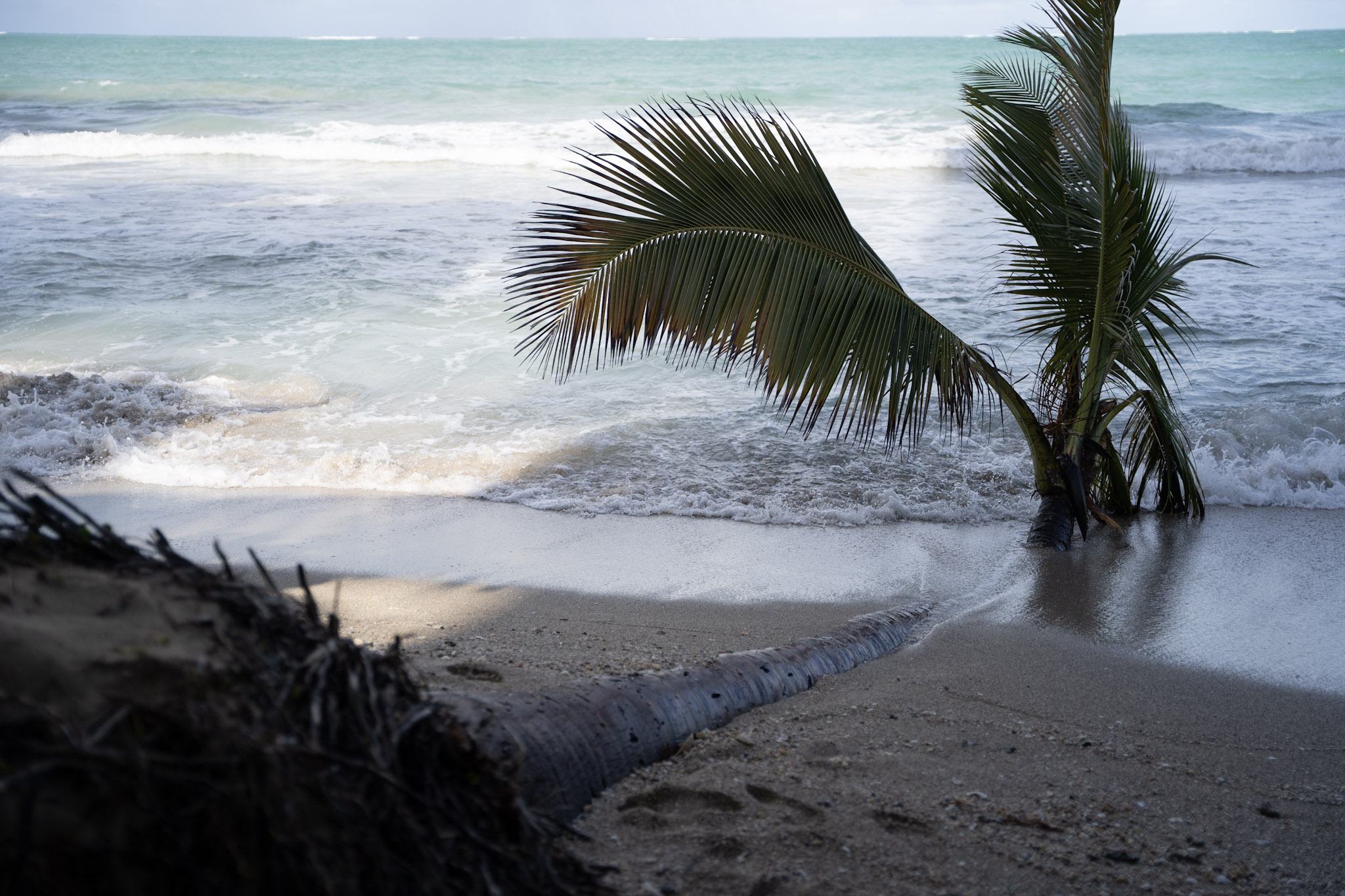 2021-12-20_Punta_las_Marias - foto 93