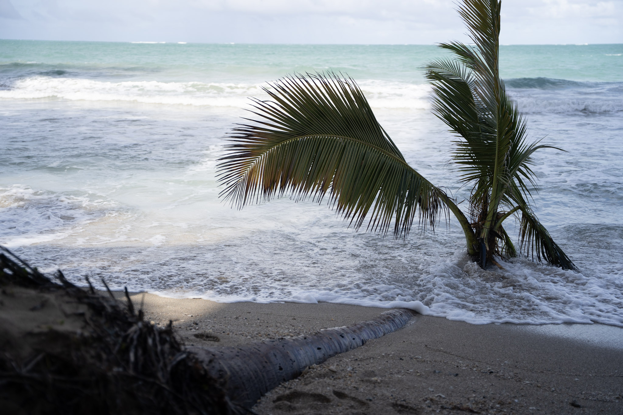 2021-12-20_Punta_las_Marias - foto 94