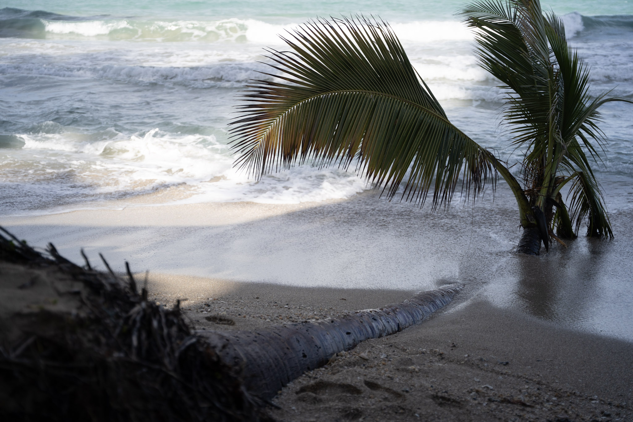 2021-12-20_Punta_las_Marias - foto 95