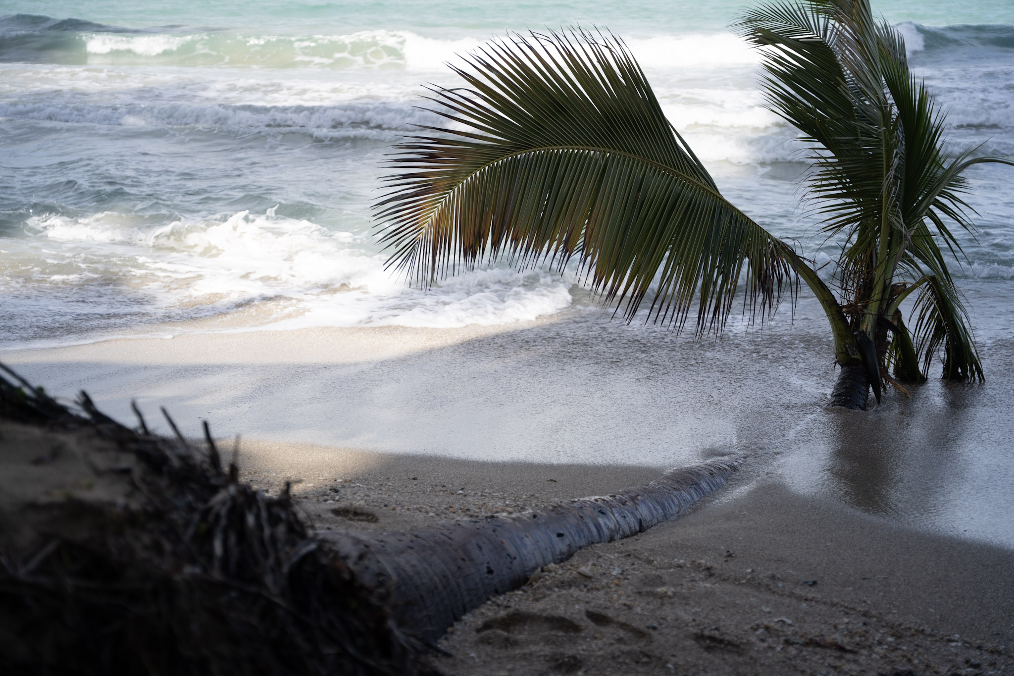 2021-12-20_Punta_las_Marias - foto 96