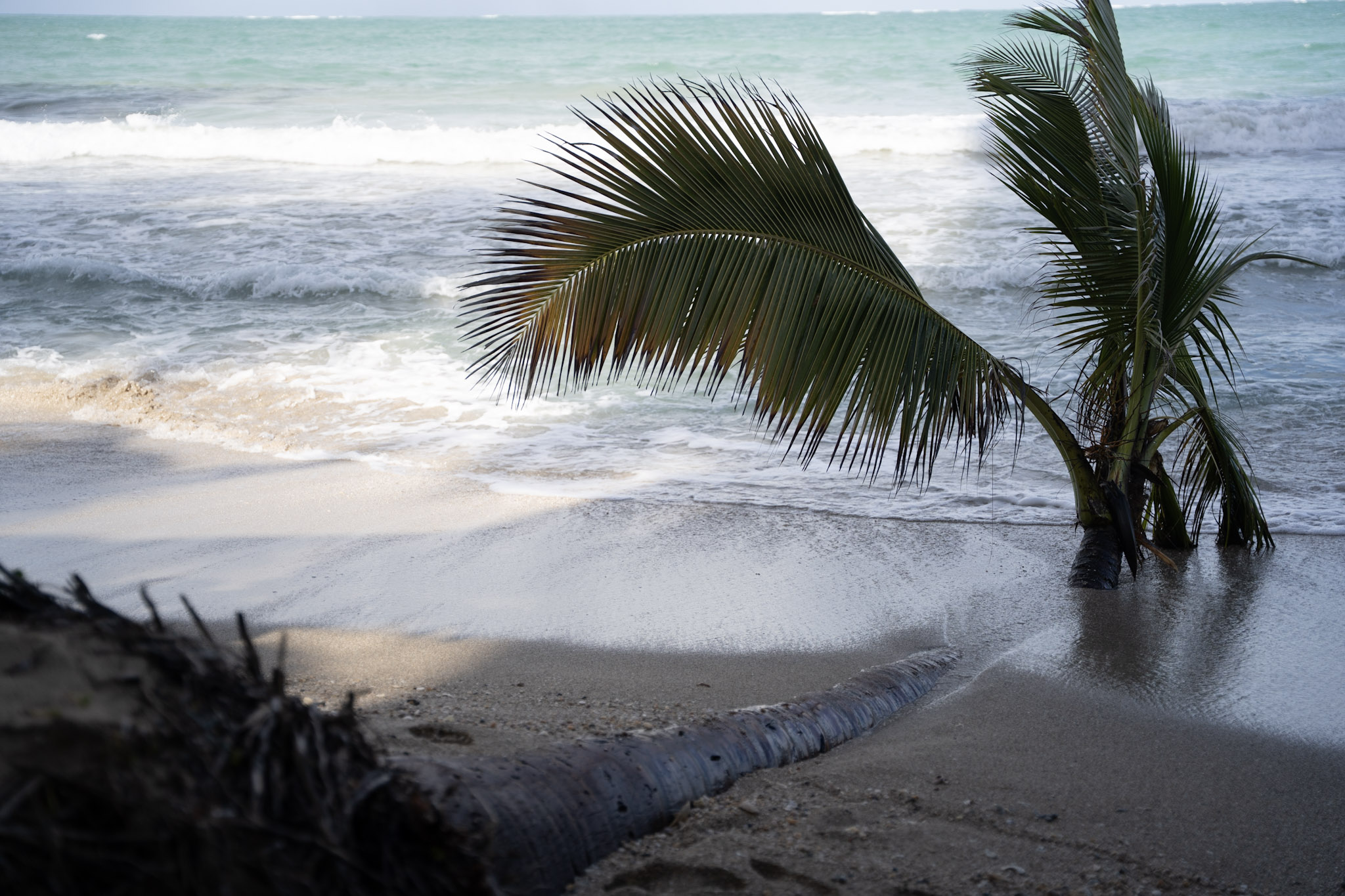 2021-12-20_Punta_las_Marias - foto 97