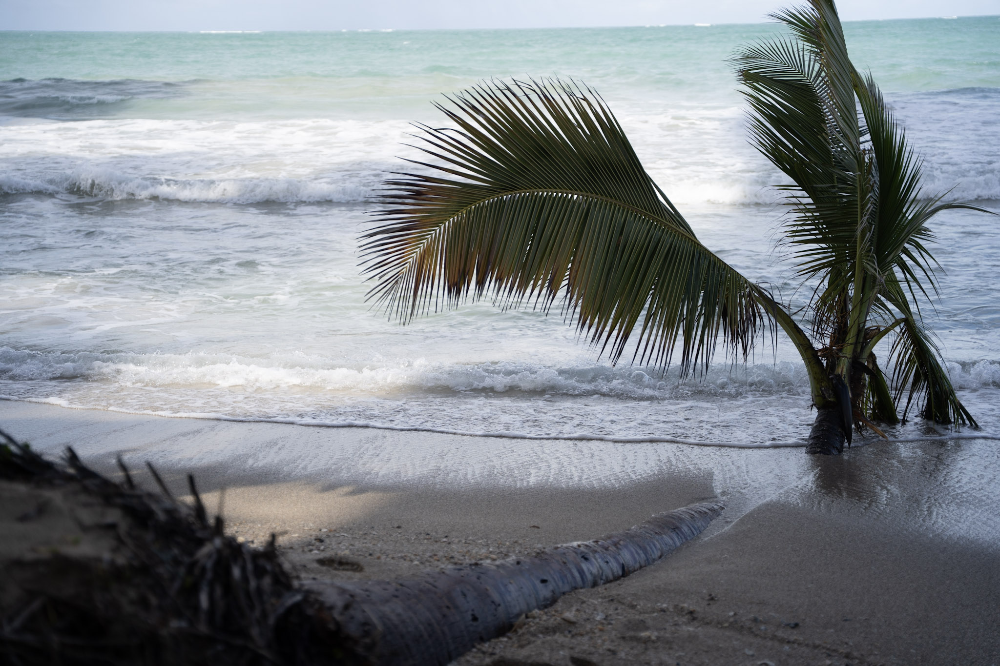 2021-12-20_Punta_las_Marias - foto 98