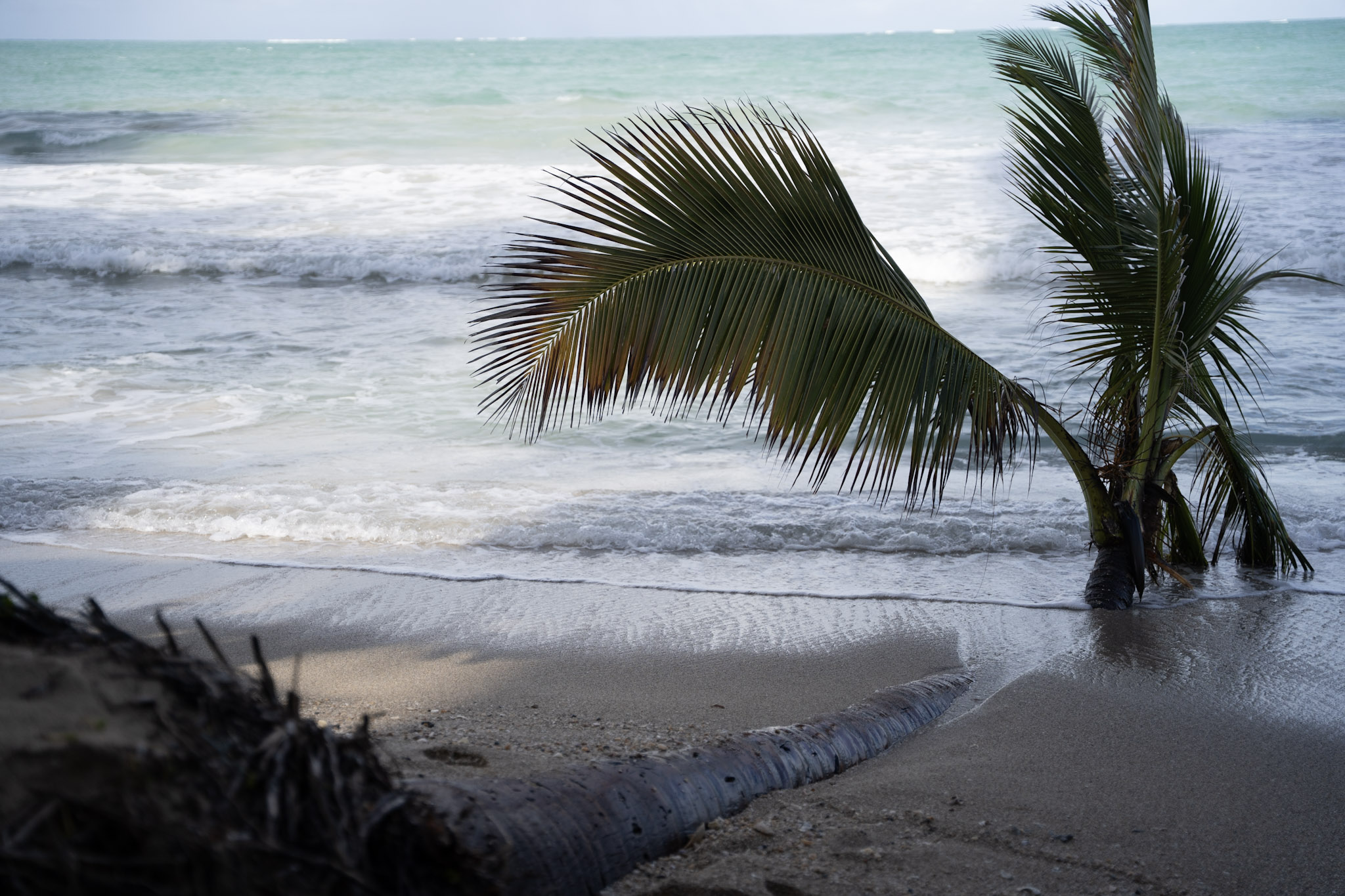 2021-12-20_Punta_las_Marias - foto 99