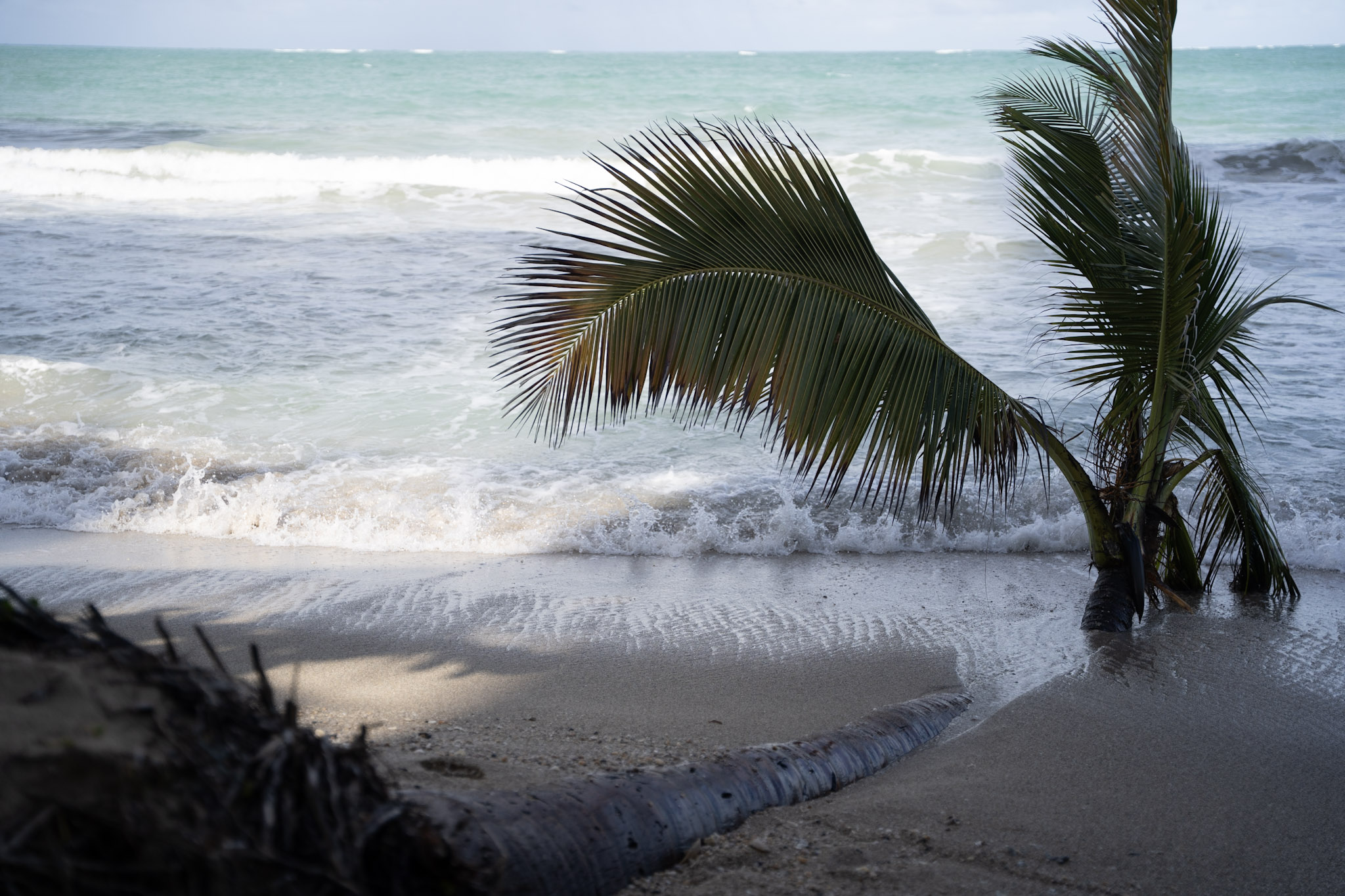 2021-12-20_Punta_las_Marias - foto 100