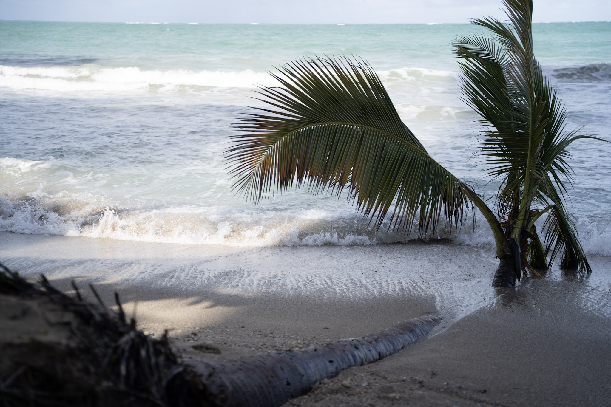 2021-12-20_Punta_las_Marias - foto 101