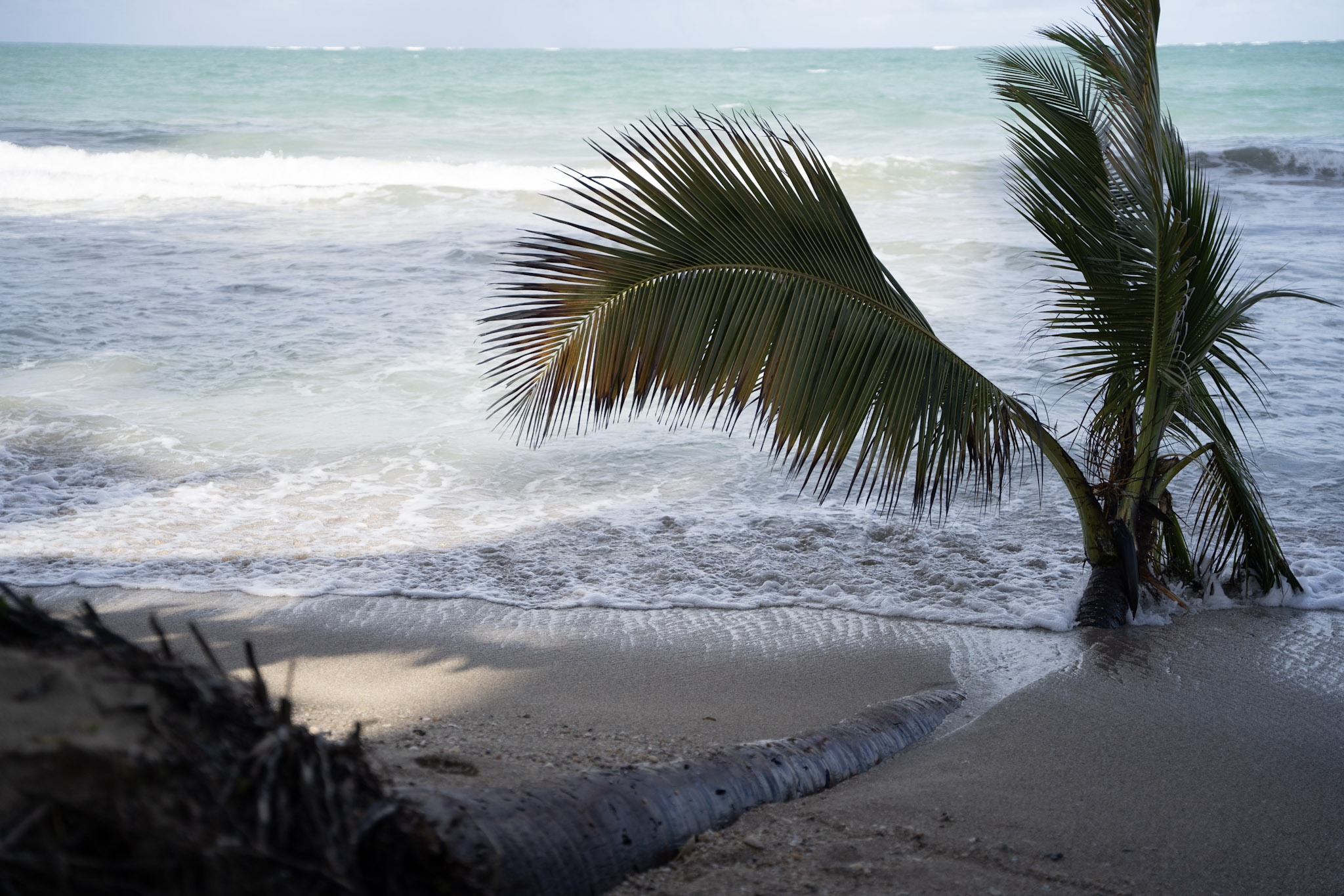 2021-12-20_Punta_las_Marias - foto 102