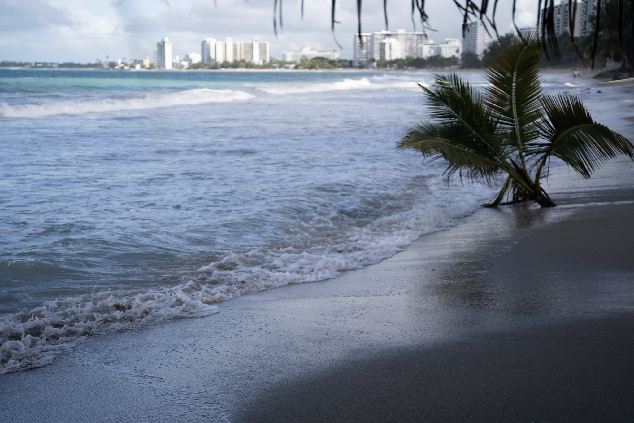 2021-12-20_Punta_las_Marias - foto 103