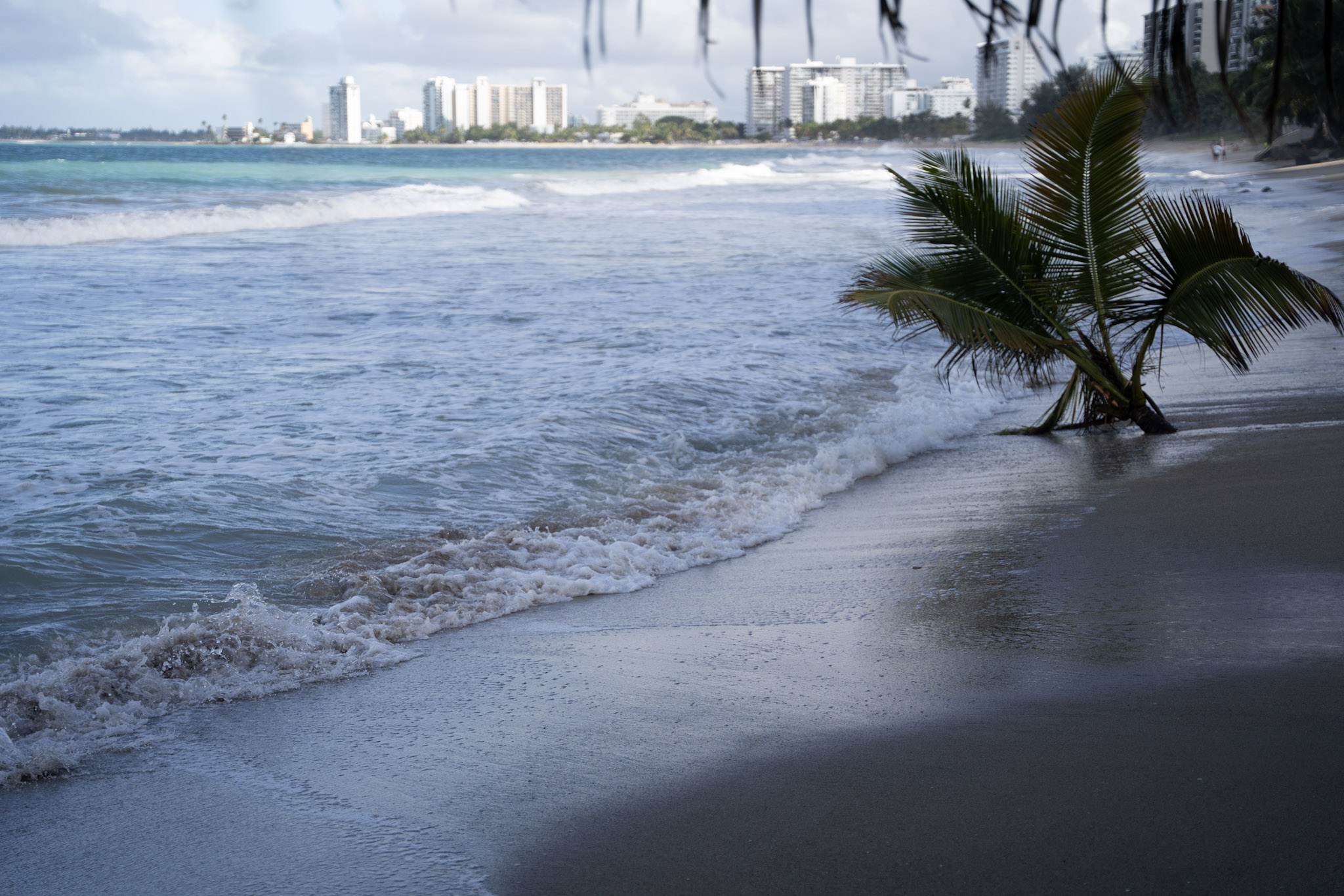 2021-12-20_Punta_las_Marias - foto 104