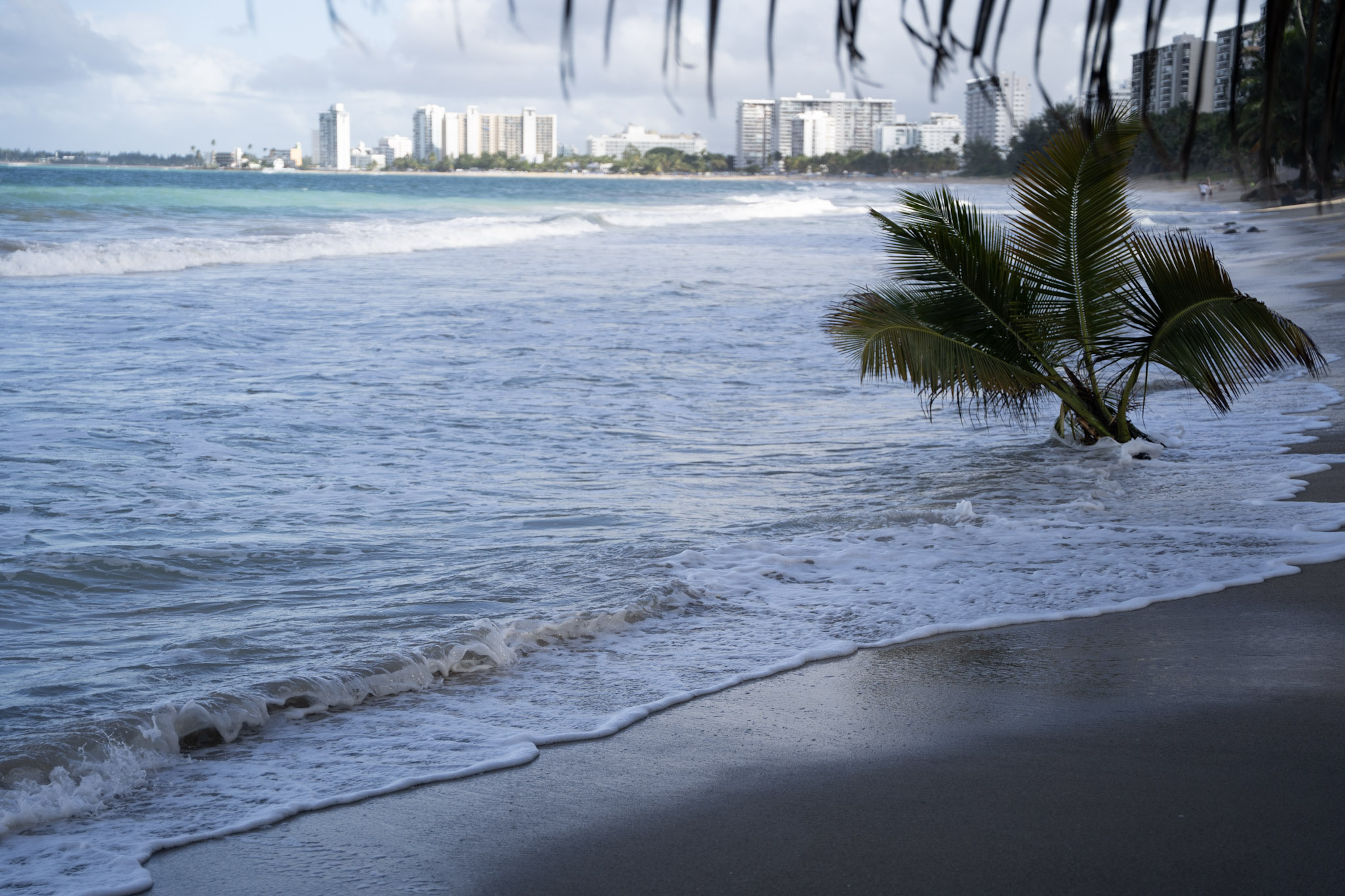 2021-12-20_Punta_las_Marias - foto 105