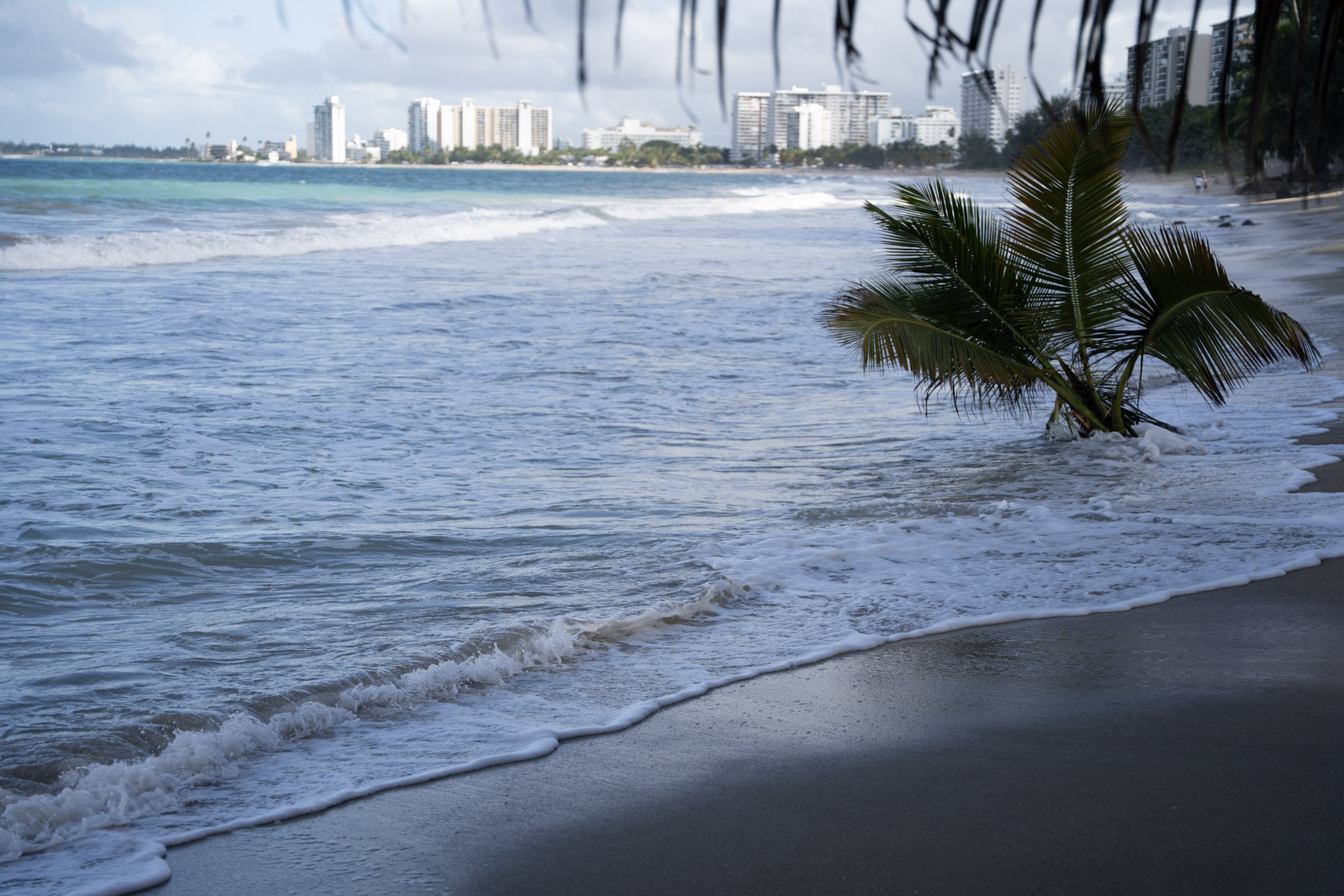 2021-12-20_Punta_las_Marias - foto 106