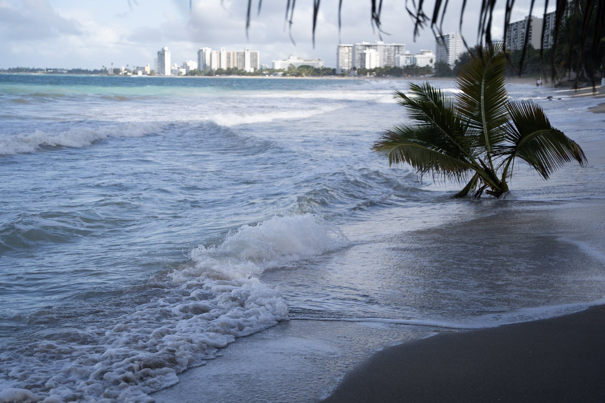 2021-12-20_Punta_las_Marias - foto 107