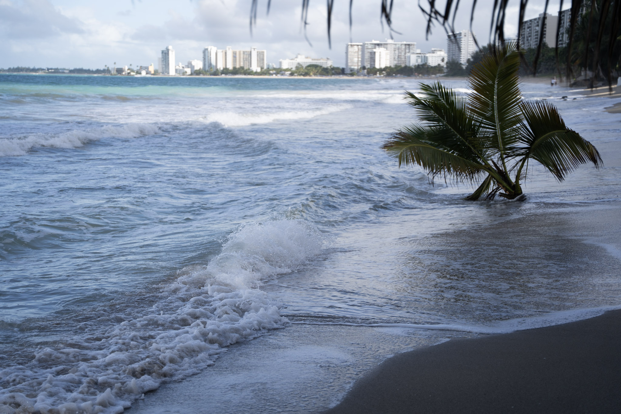 2021-12-20_Punta_las_Marias - foto 108