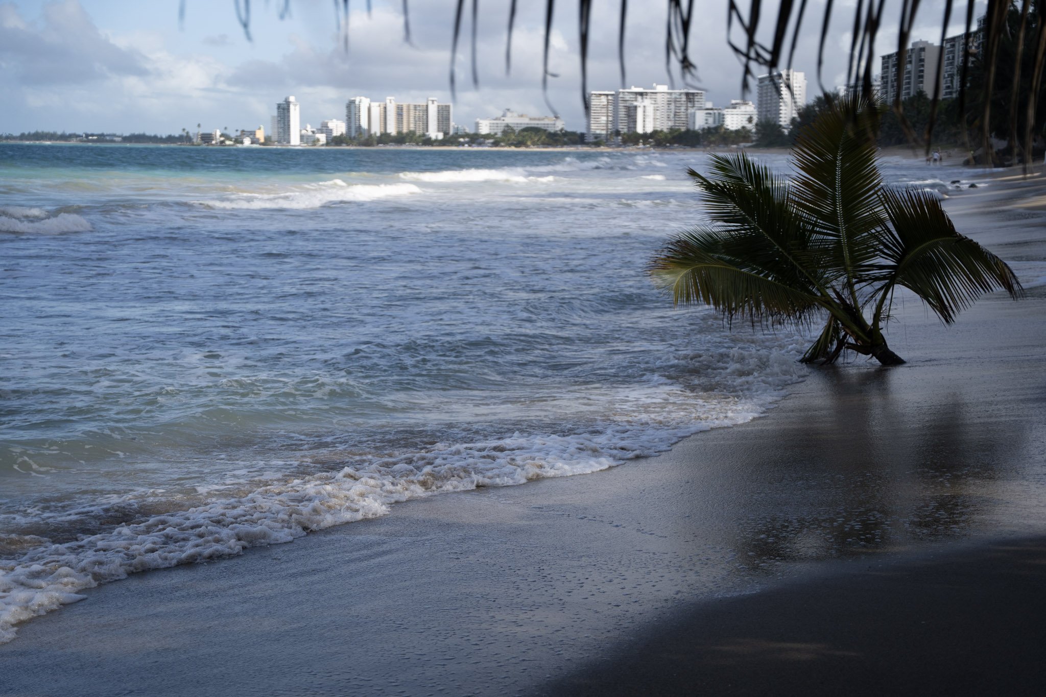 2021-12-20_Punta_las_Marias - foto 109