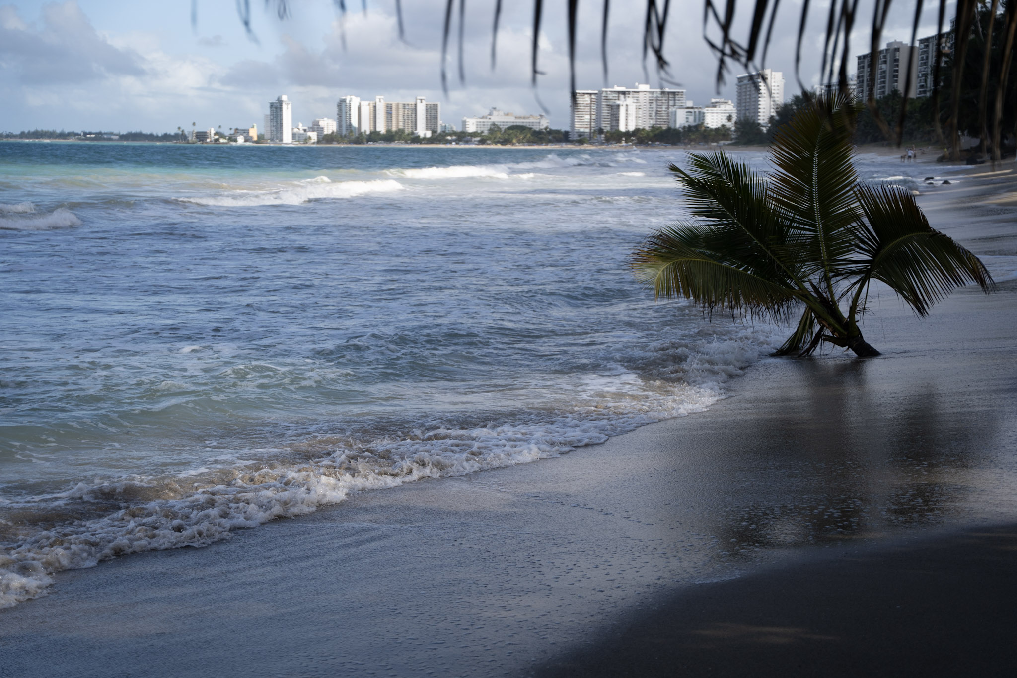 2021-12-20_Punta_las_Marias - foto 110