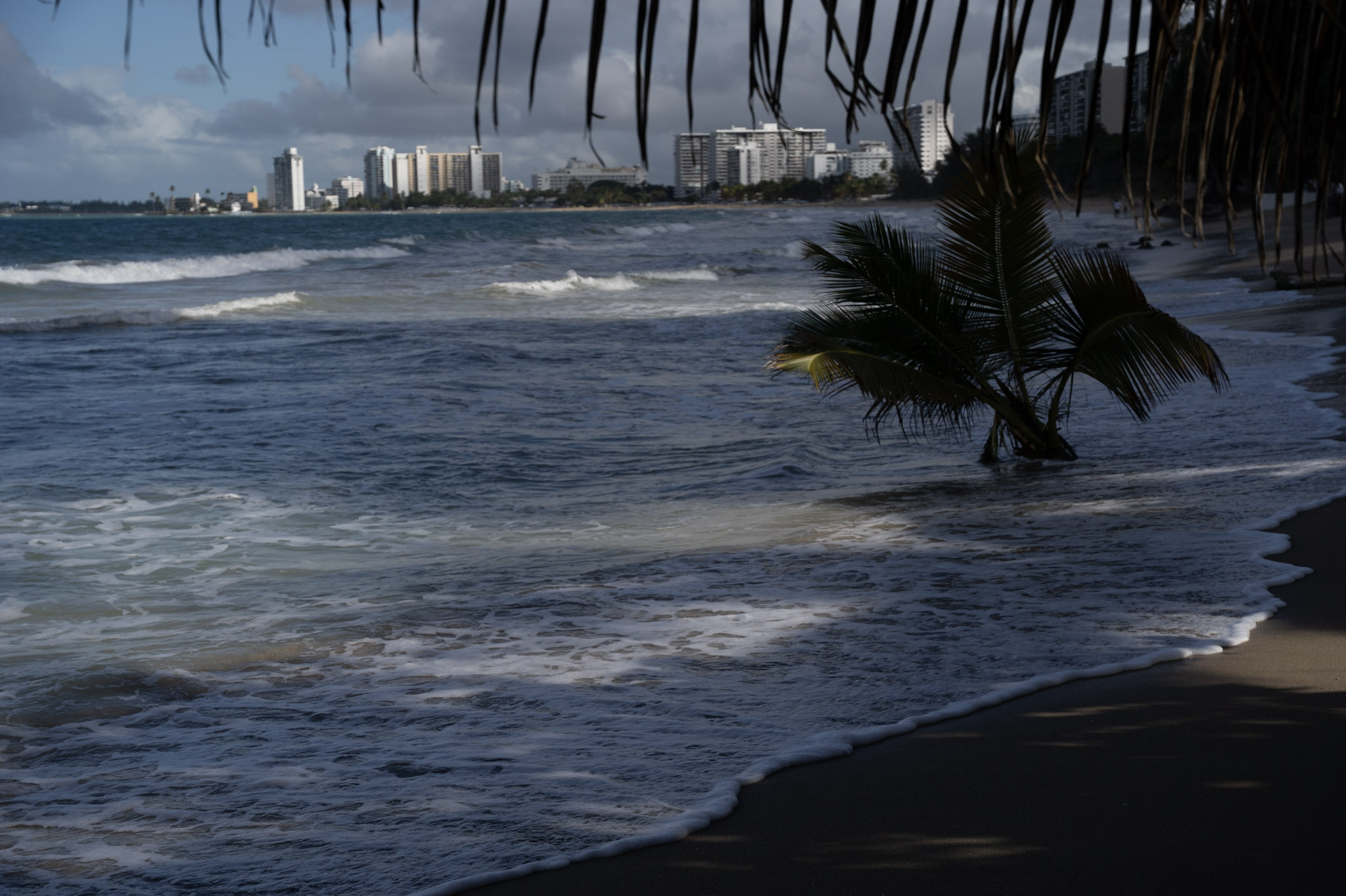 2021-12-20_Punta_las_Marias - foto 113