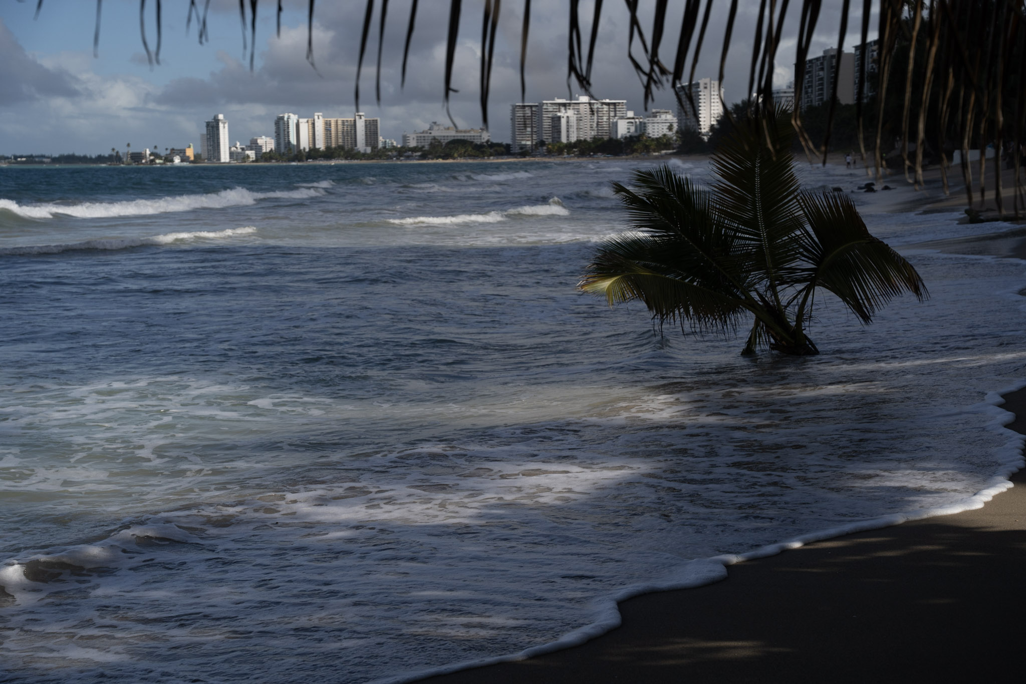 2021-12-20_Punta_las_Marias - foto 115