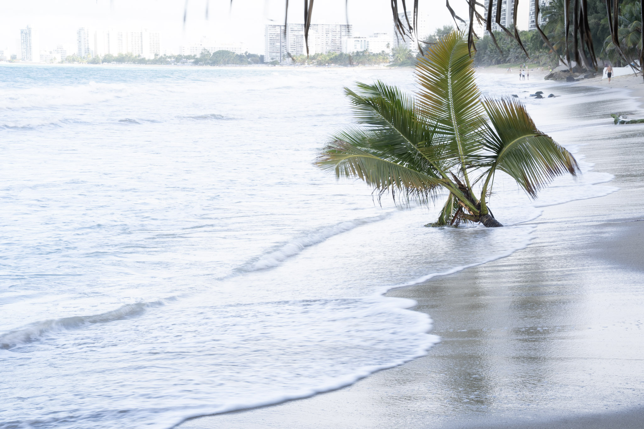 2021-12-20_Punta_las_Marias - foto 116