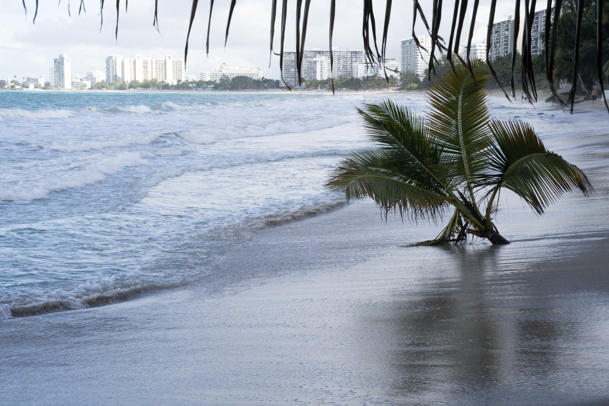 2021-12-20_Punta_las_Marias - foto 117