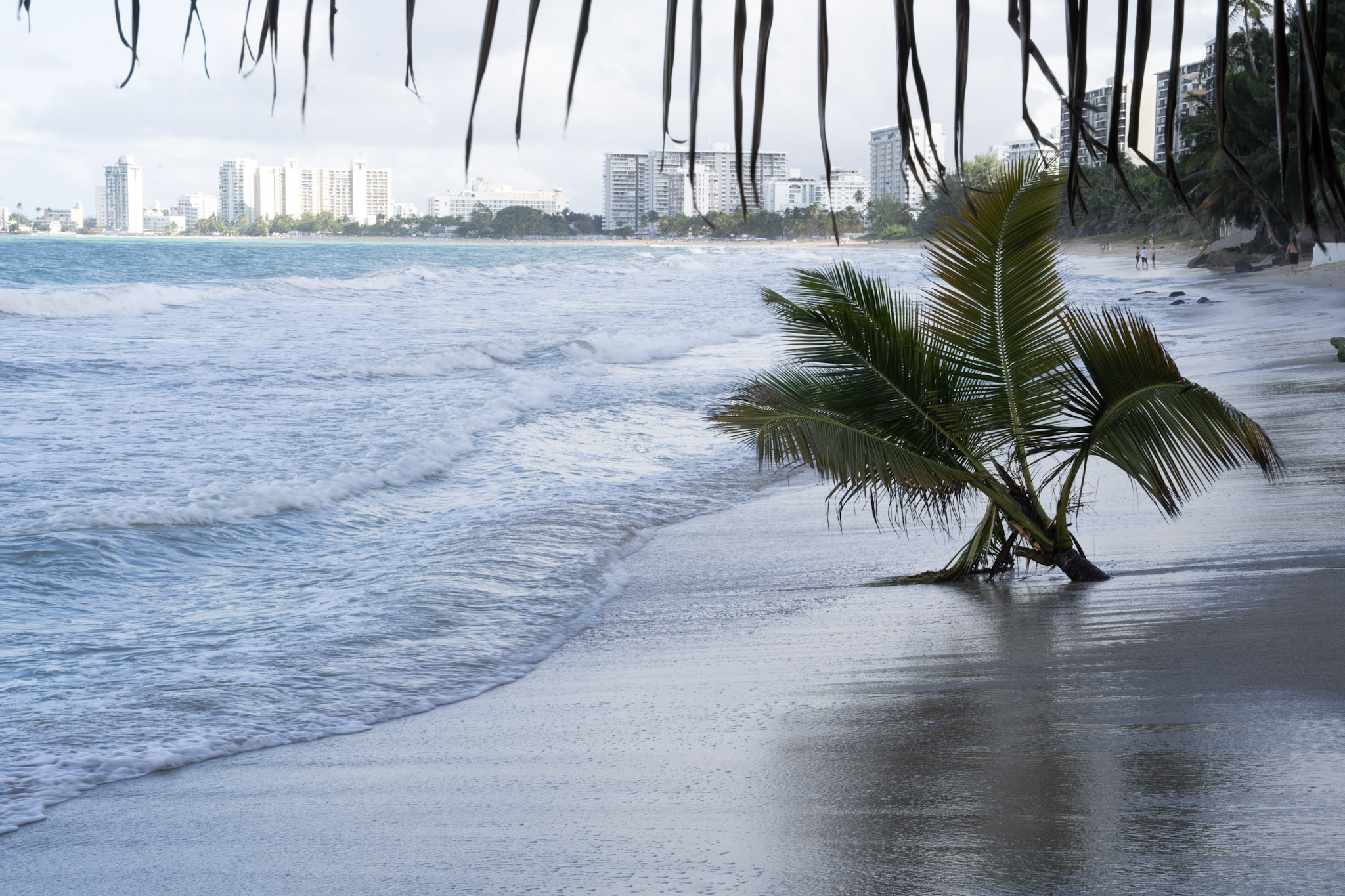 2021-12-20_Punta_las_Marias - foto 118