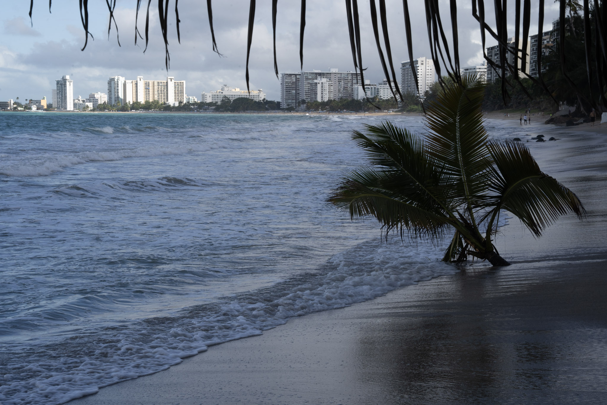 2021-12-20_Punta_las_Marias - foto 119