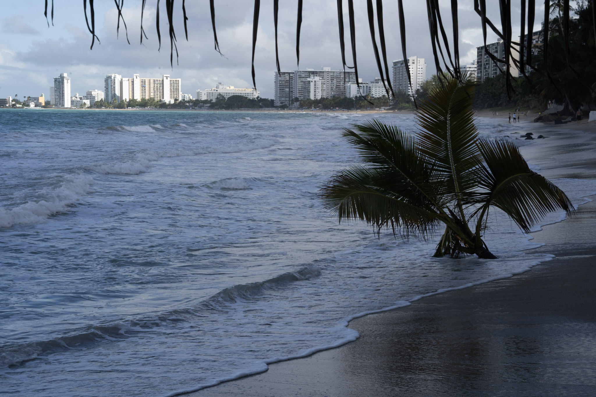 2021-12-20_Punta_las_Marias - foto 121