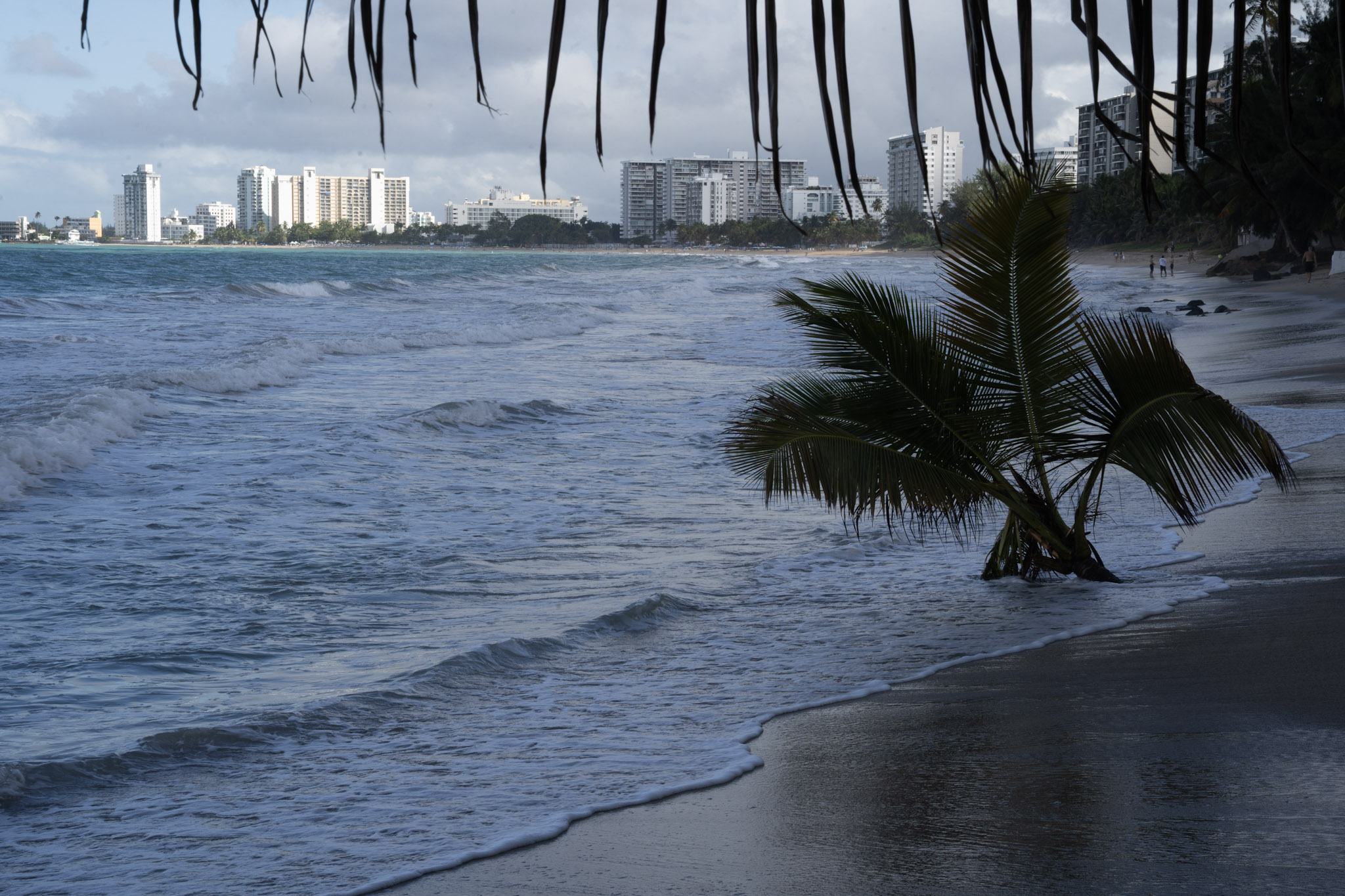 2021-12-20_Punta_las_Marias - foto 122