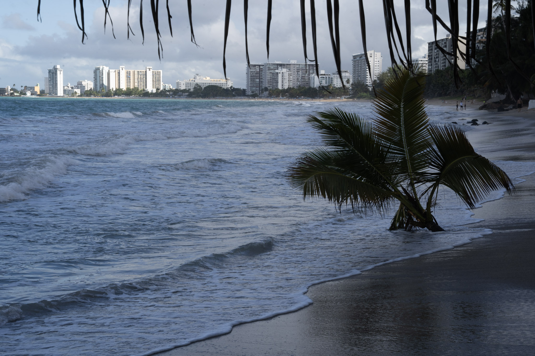 2021-12-20_Punta_las_Marias - foto 123