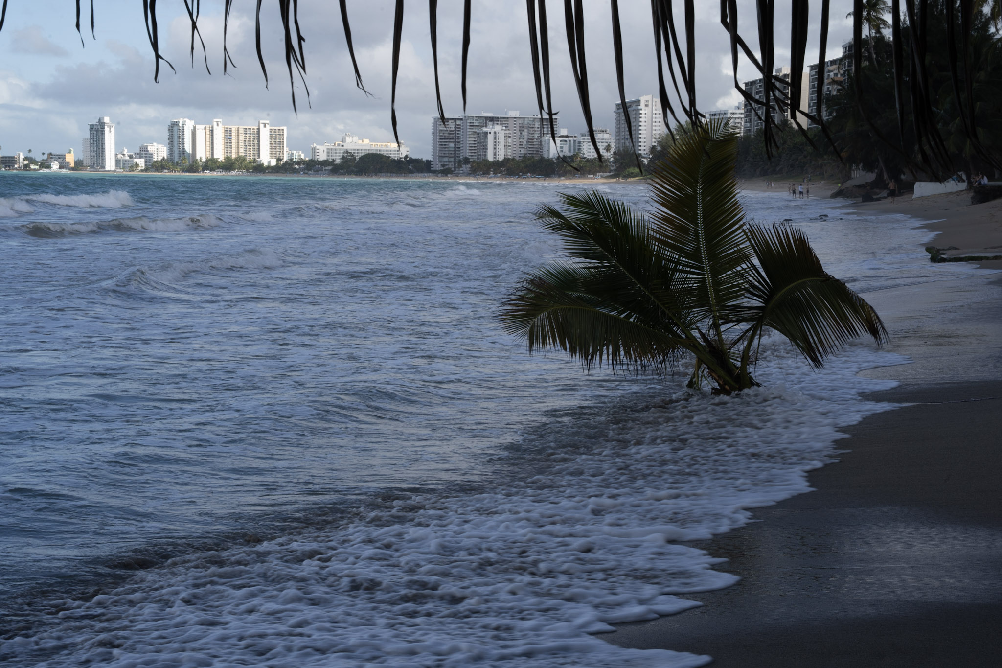 2021-12-20_Punta_las_Marias - foto 124