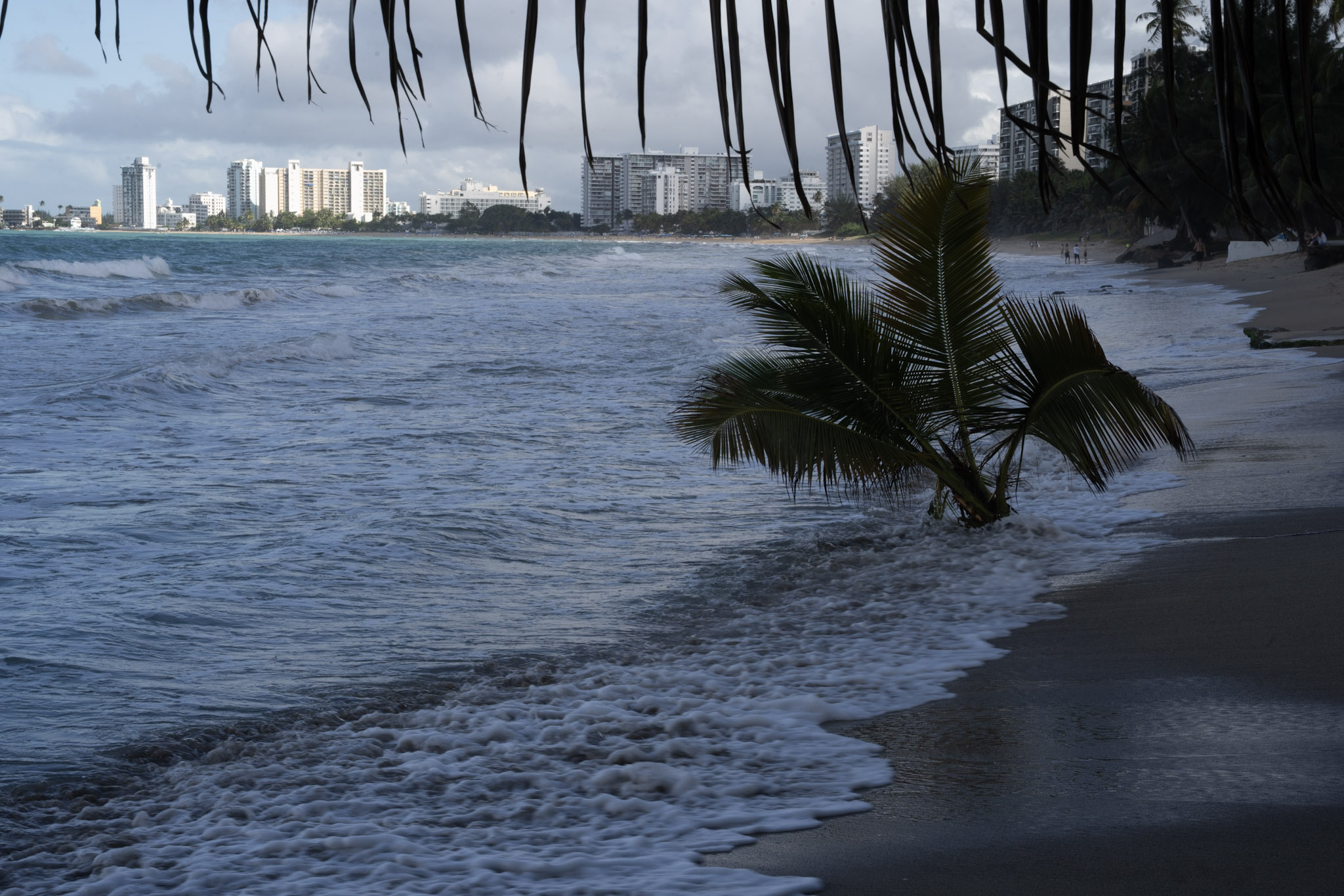 2021-12-20_Punta_las_Marias - foto 125