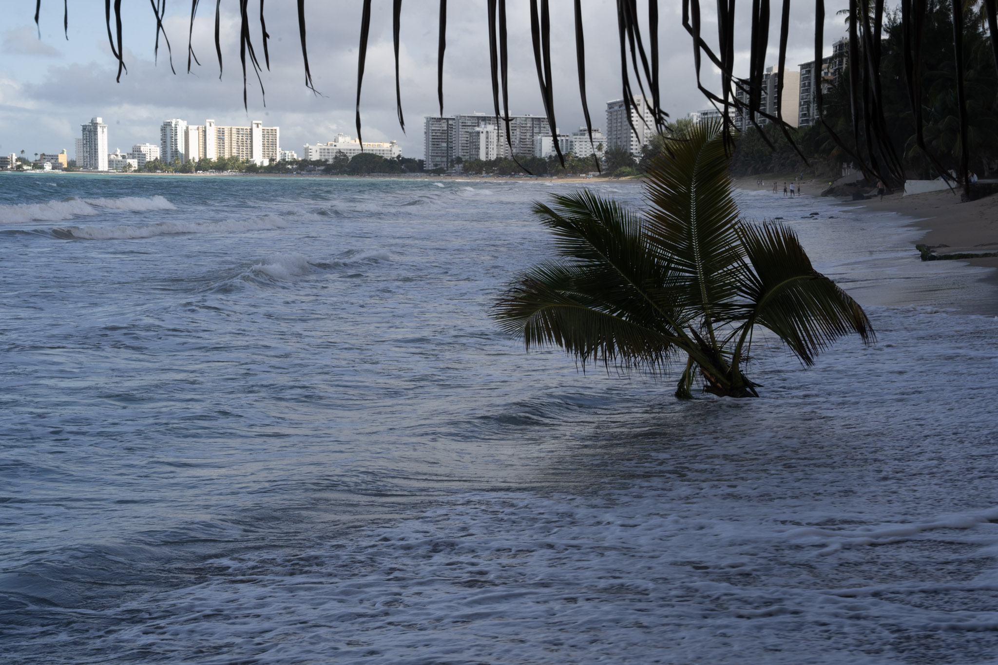 2021-12-20_Punta_las_Marias - foto 126