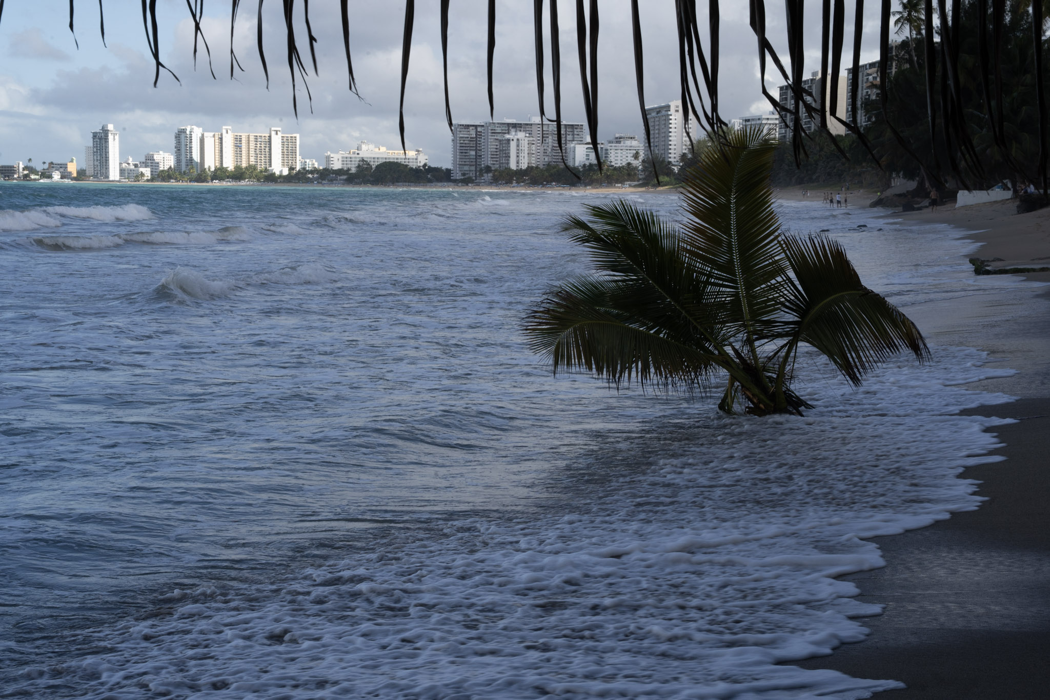 2021-12-20_Punta_las_Marias - foto 127