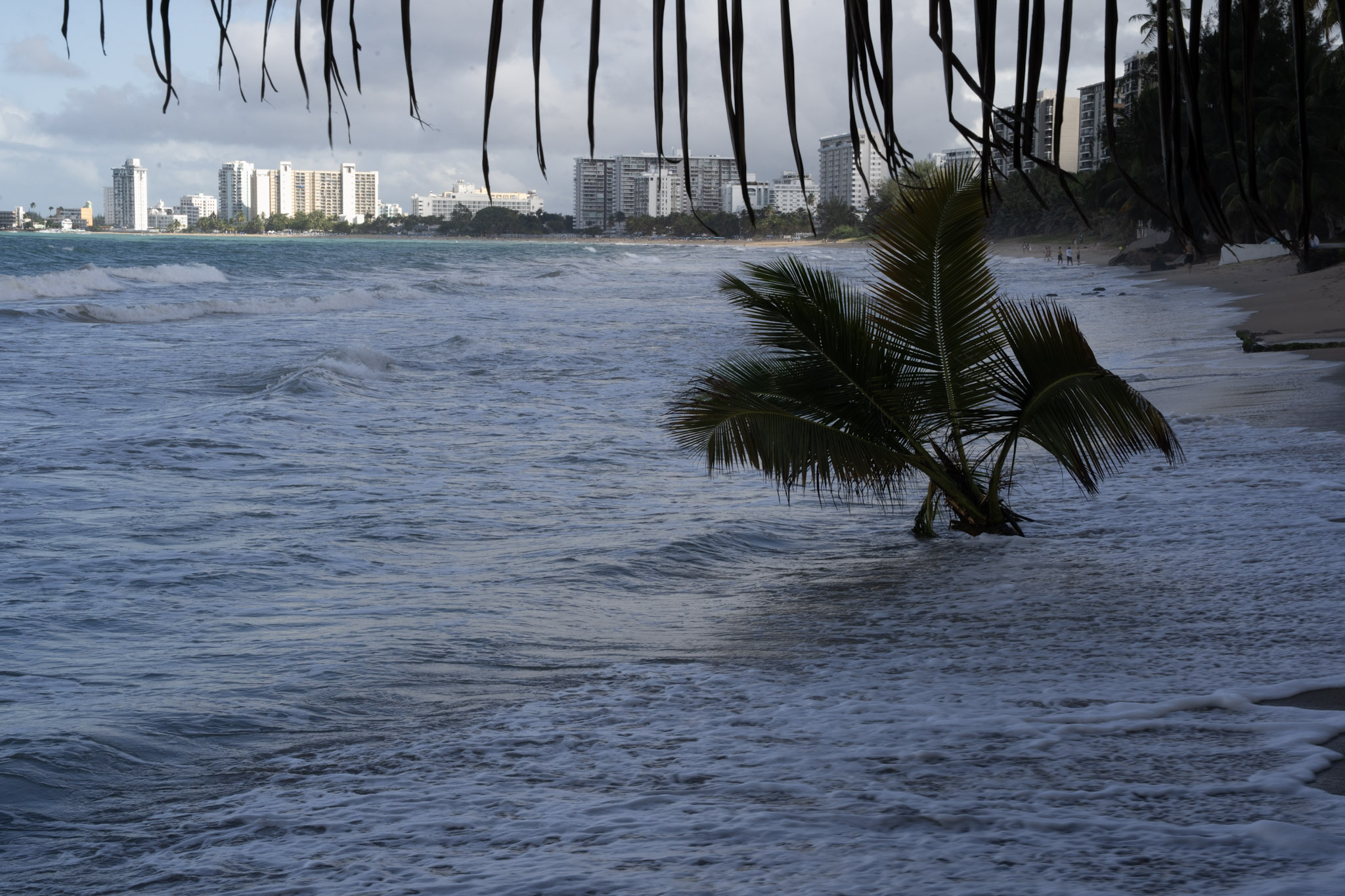 2021-12-20_Punta_las_Marias - foto 128