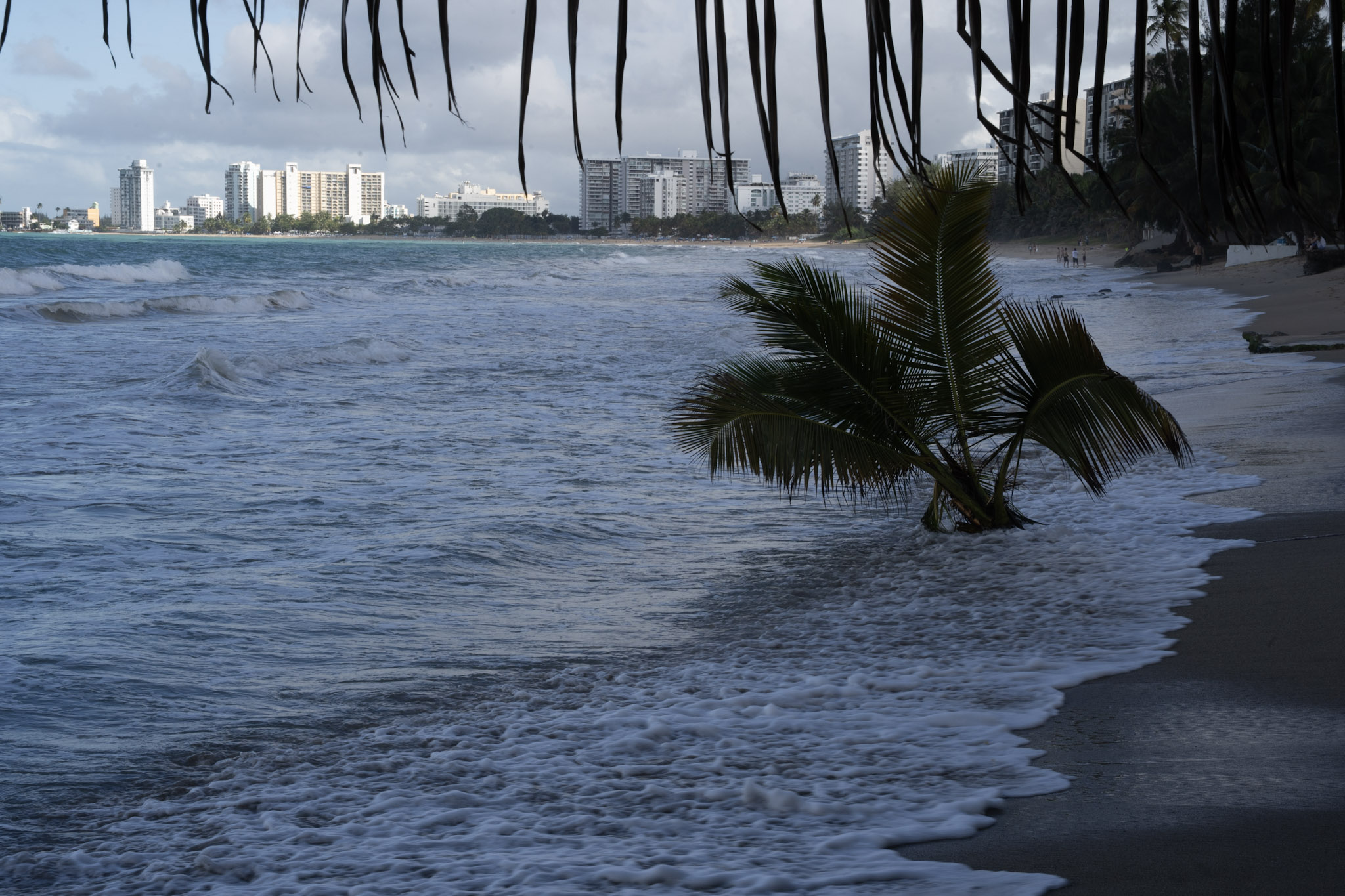 2021-12-20_Punta_las_Marias - foto 129