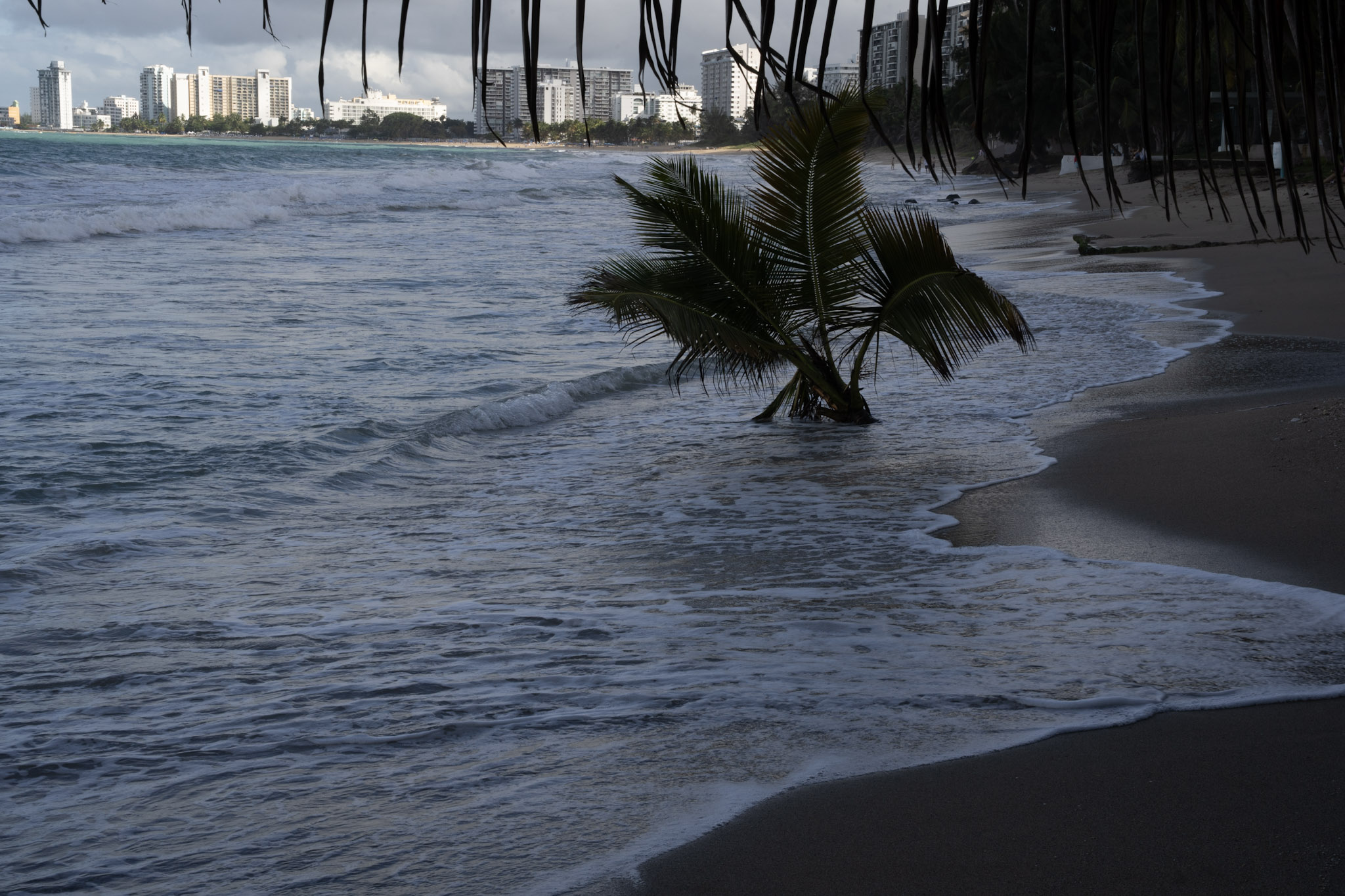 2021-12-20_Punta_las_Marias - foto 130