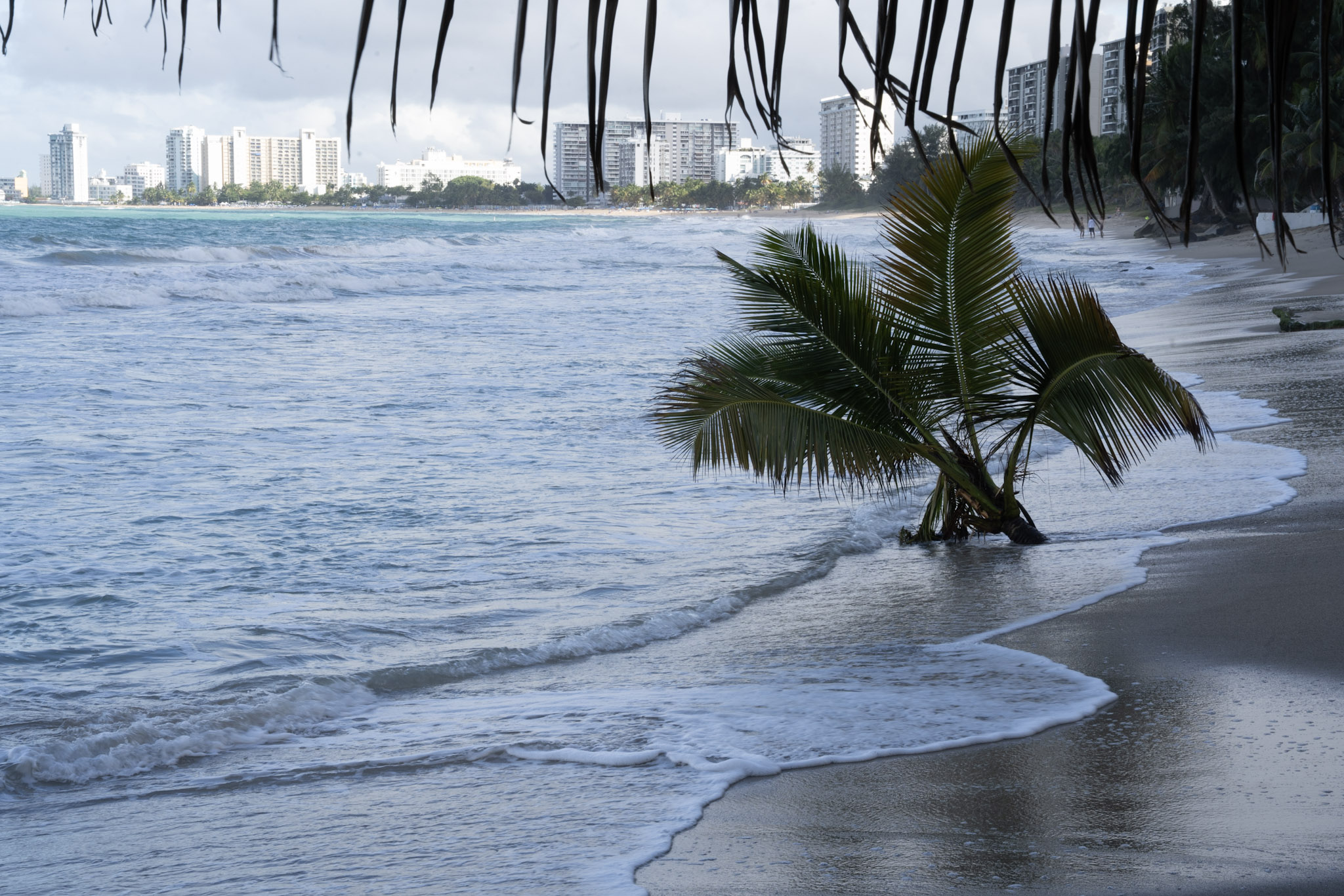 2021-12-20_Punta_las_Marias - foto 132