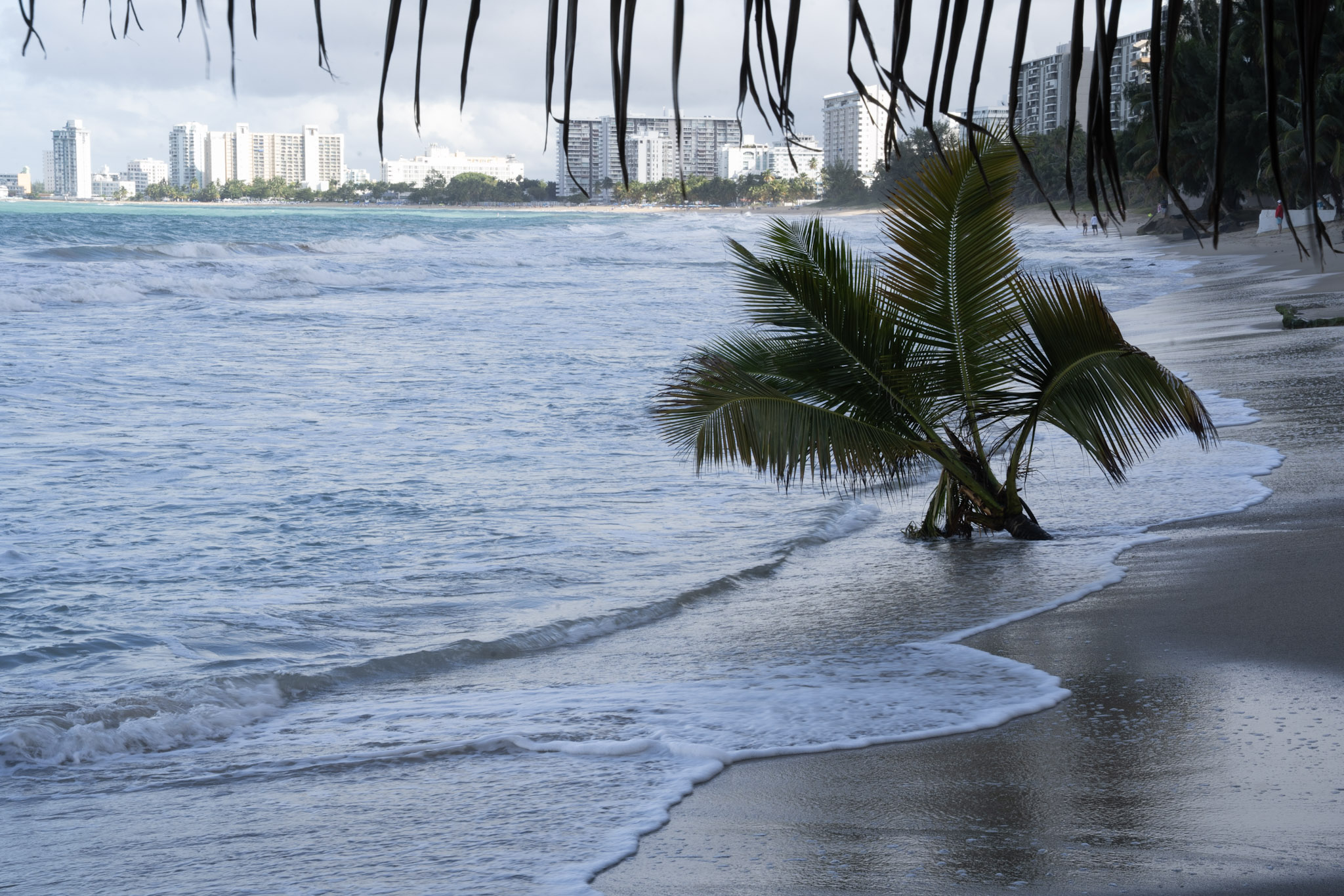 2021-12-20_Punta_las_Marias - foto 133