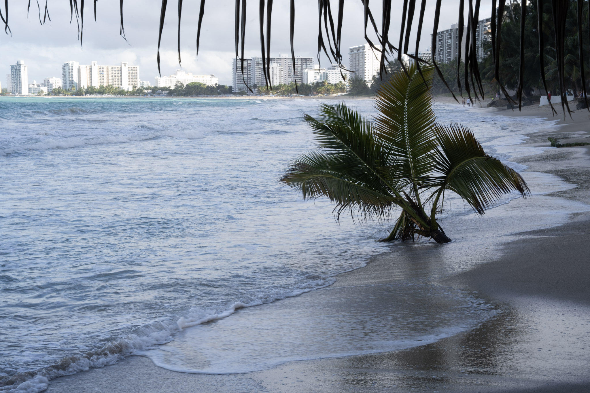 2021-12-20_Punta_las_Marias - foto 134